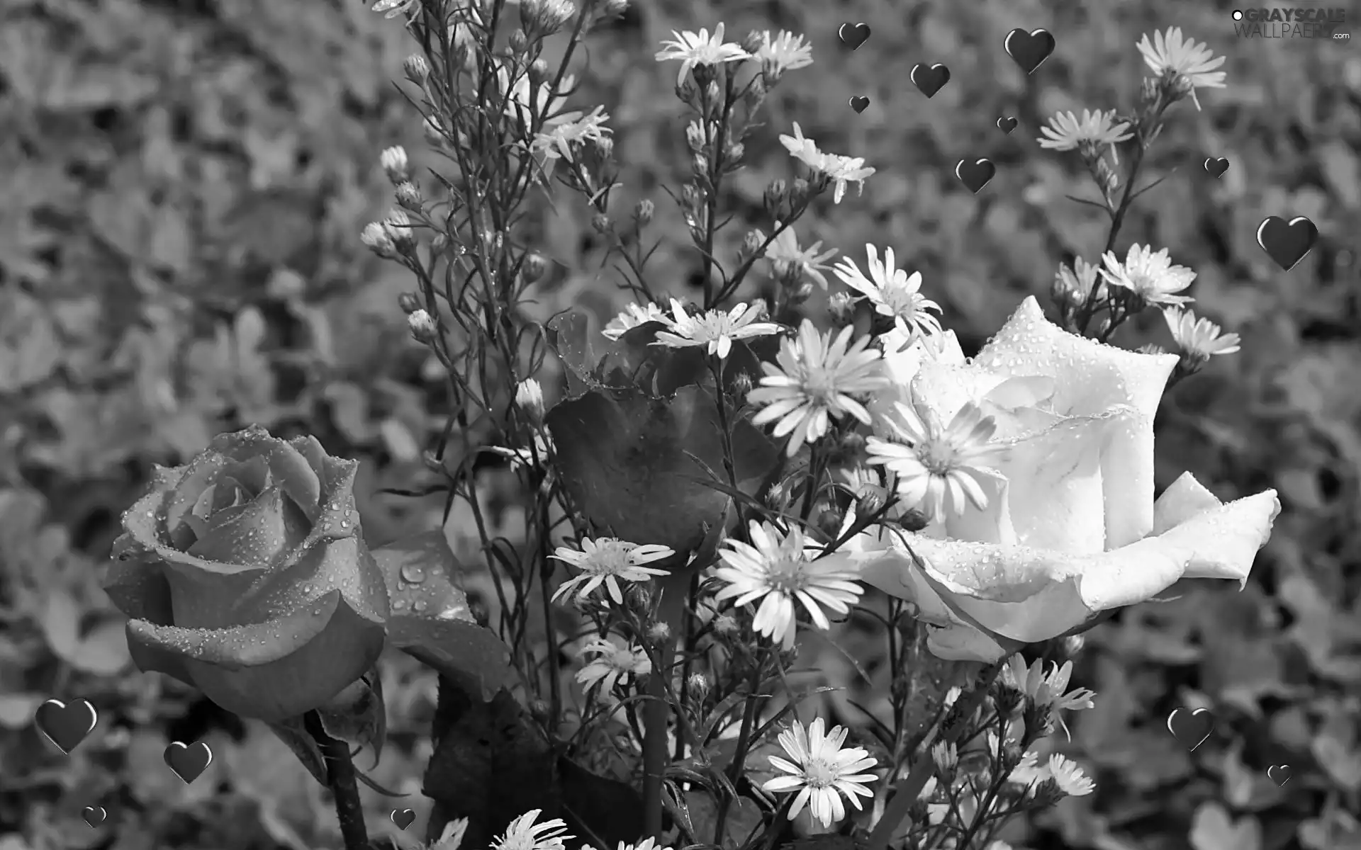 blur, Flowers, hearts