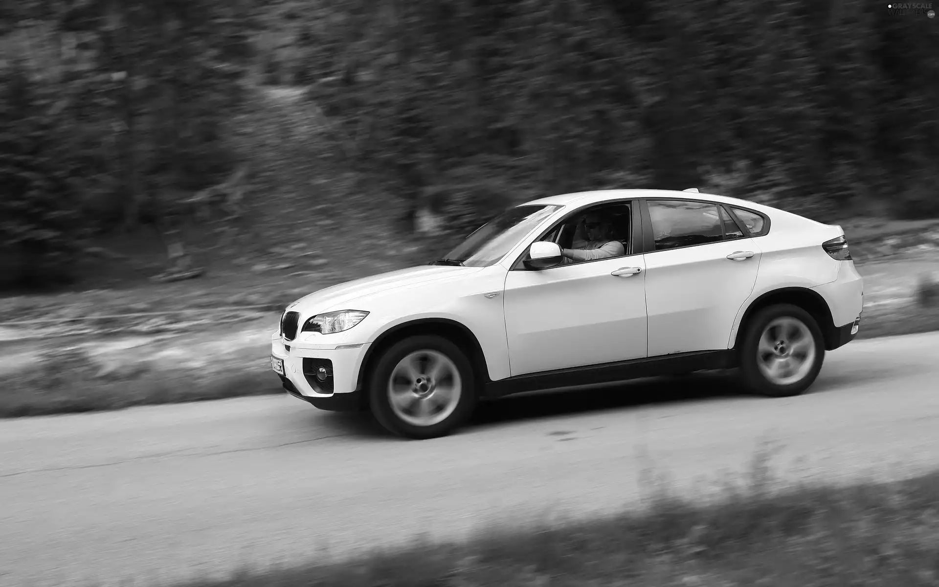 BMW X6, driver