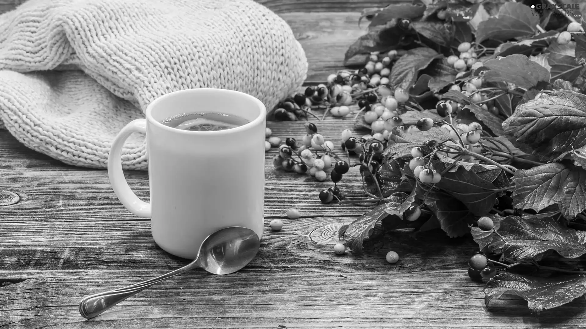 teaspoon, tea, blueberries, boarding, sweater, Cup