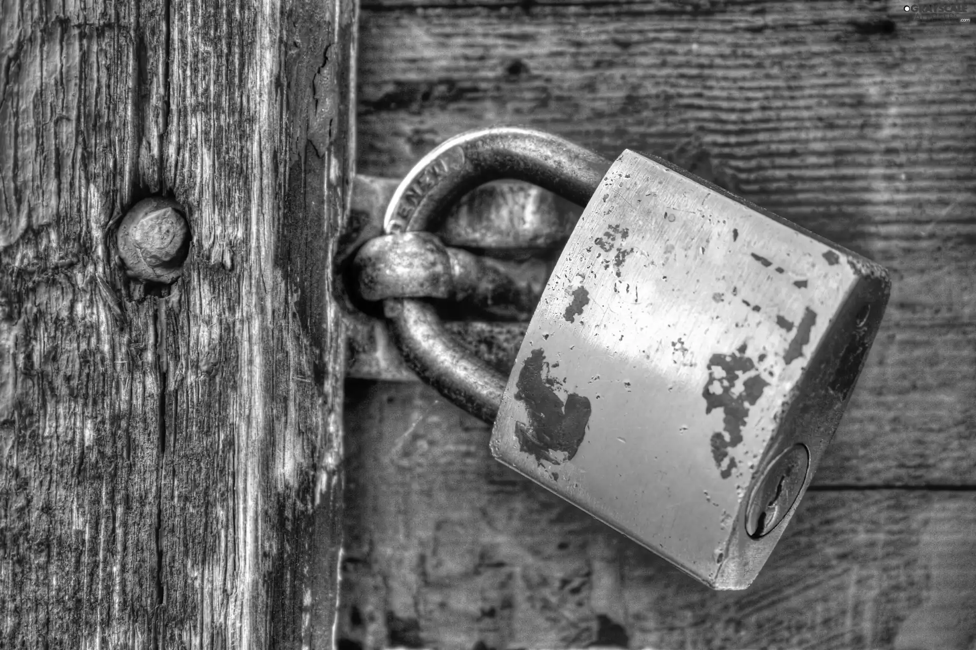 boarding, staple, padlock