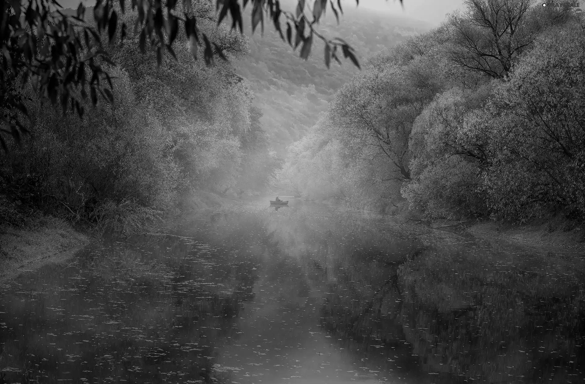 Fog, autumn, Boat, form, forest, River