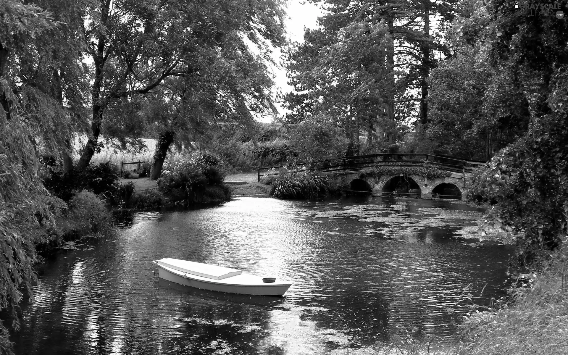 trees, Pond, Boat, green, viewes, bridges