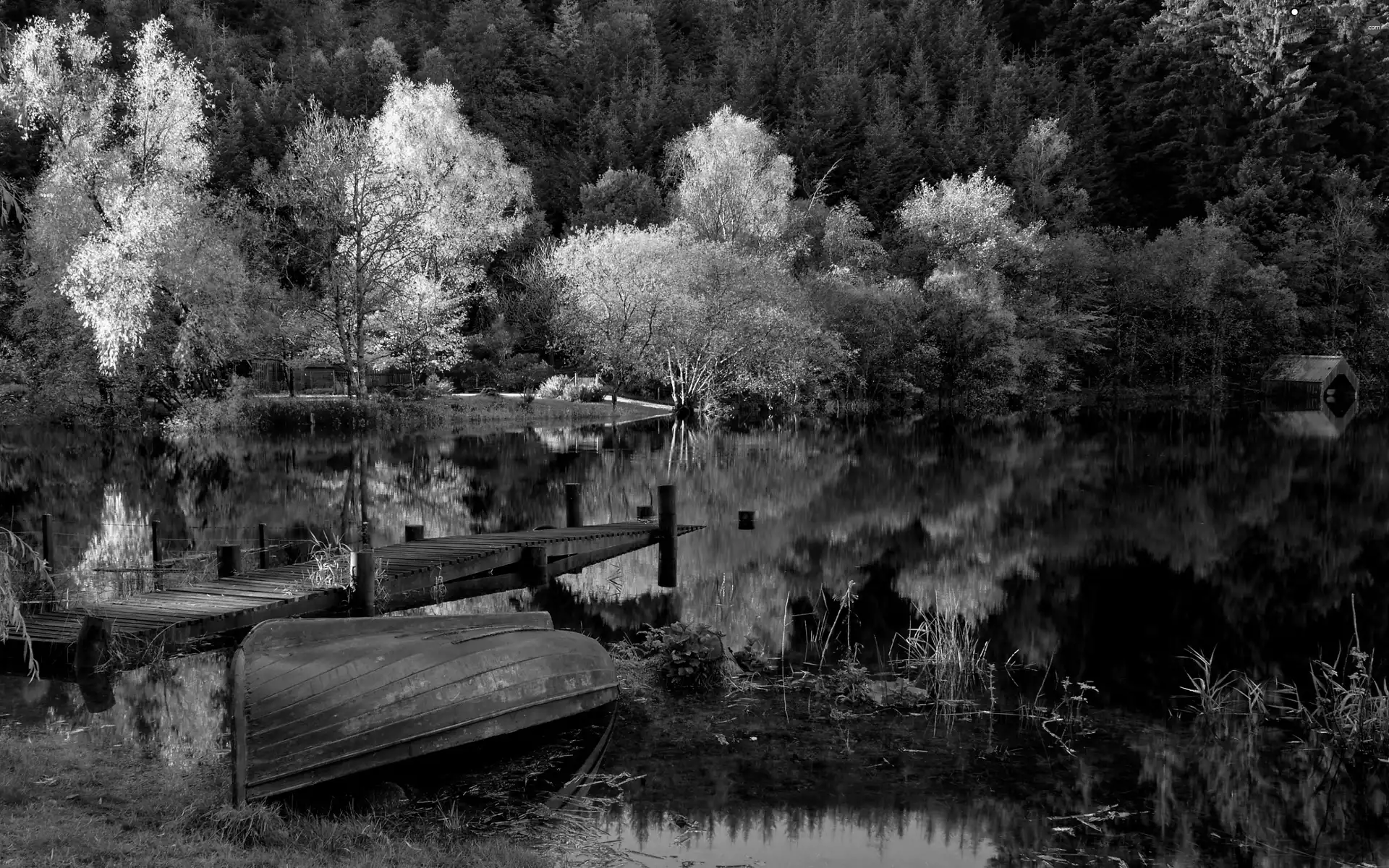 Boat, autumn, lake