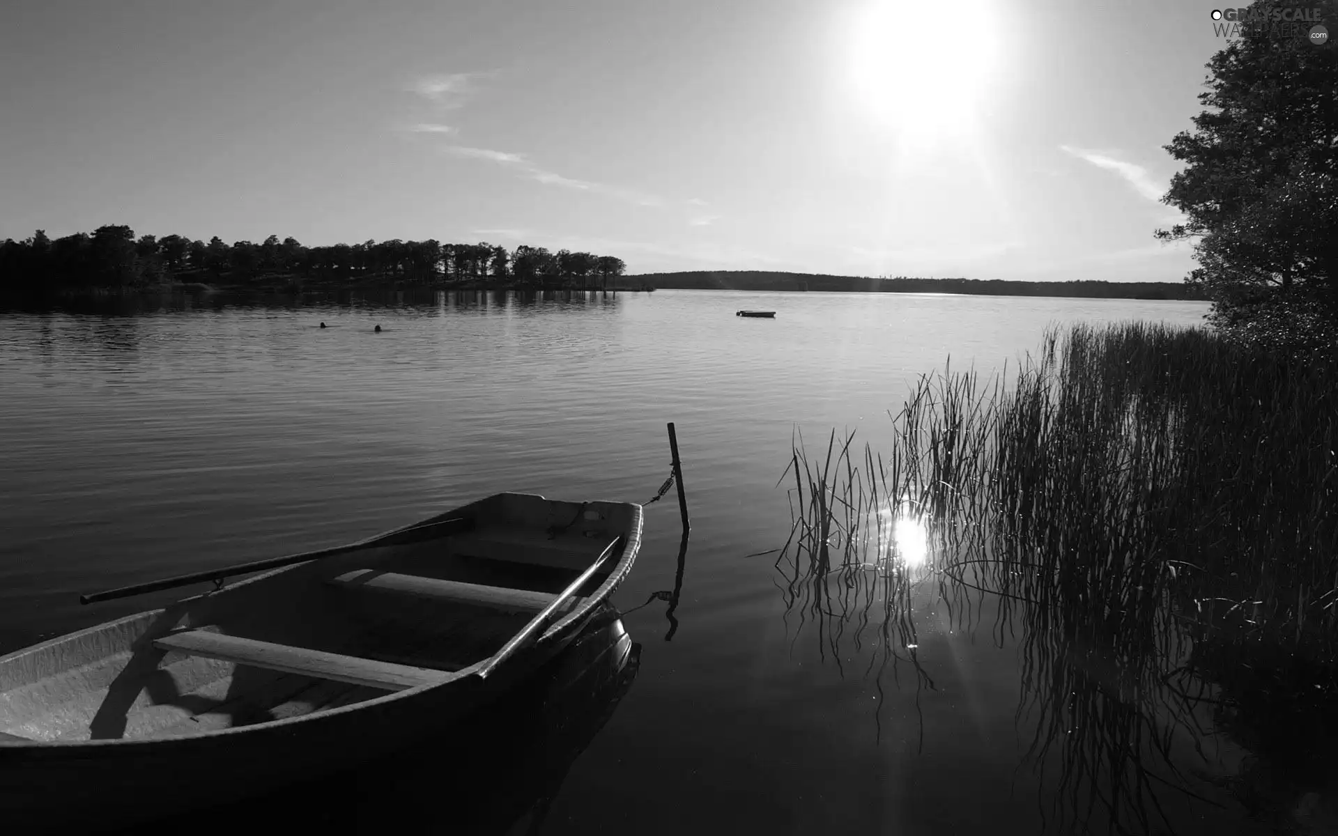 lake, sun, Boat, scrub