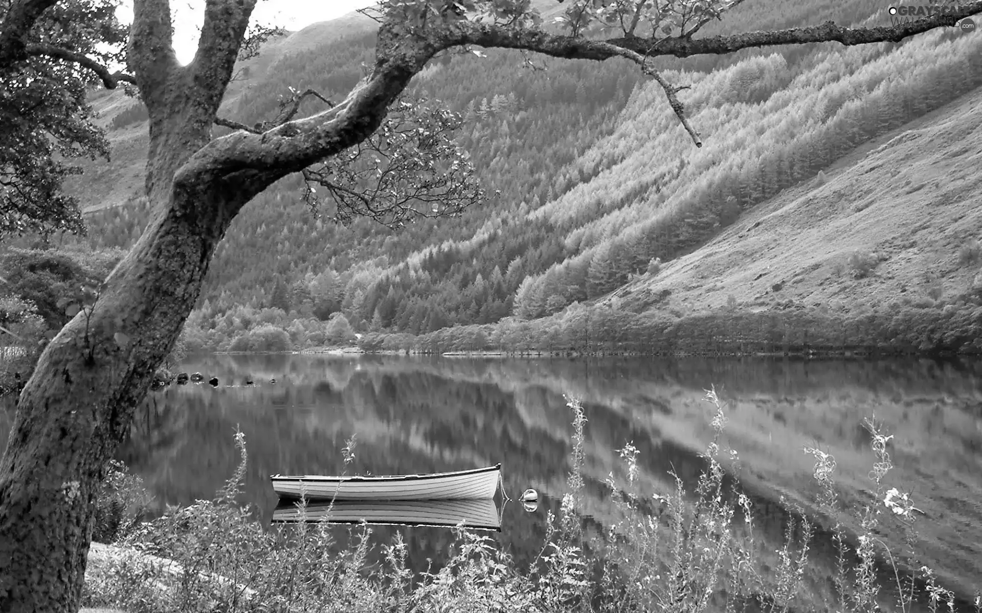 lake, woods, Boat, Mountains