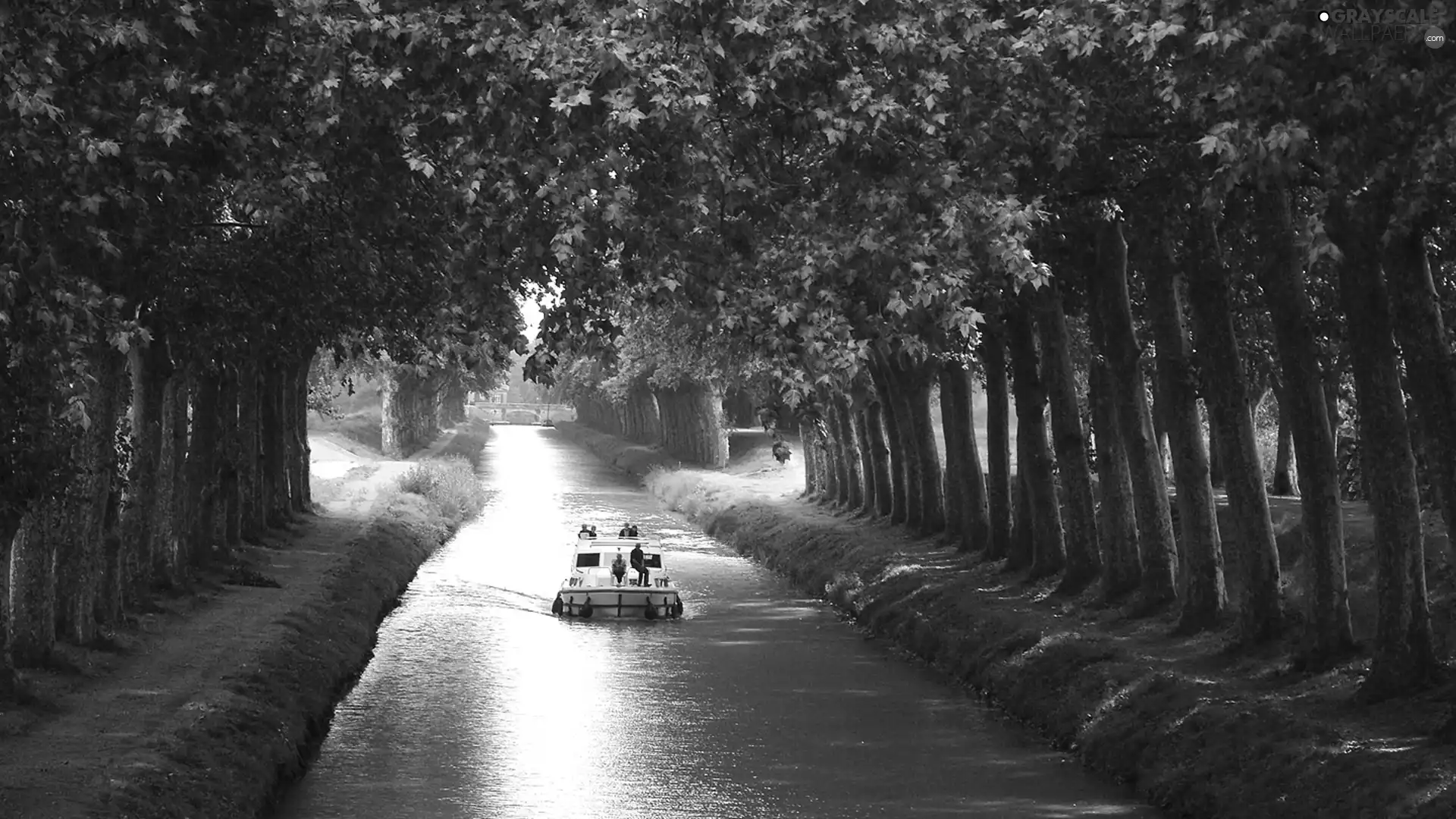 trees, River, Boat, viewes