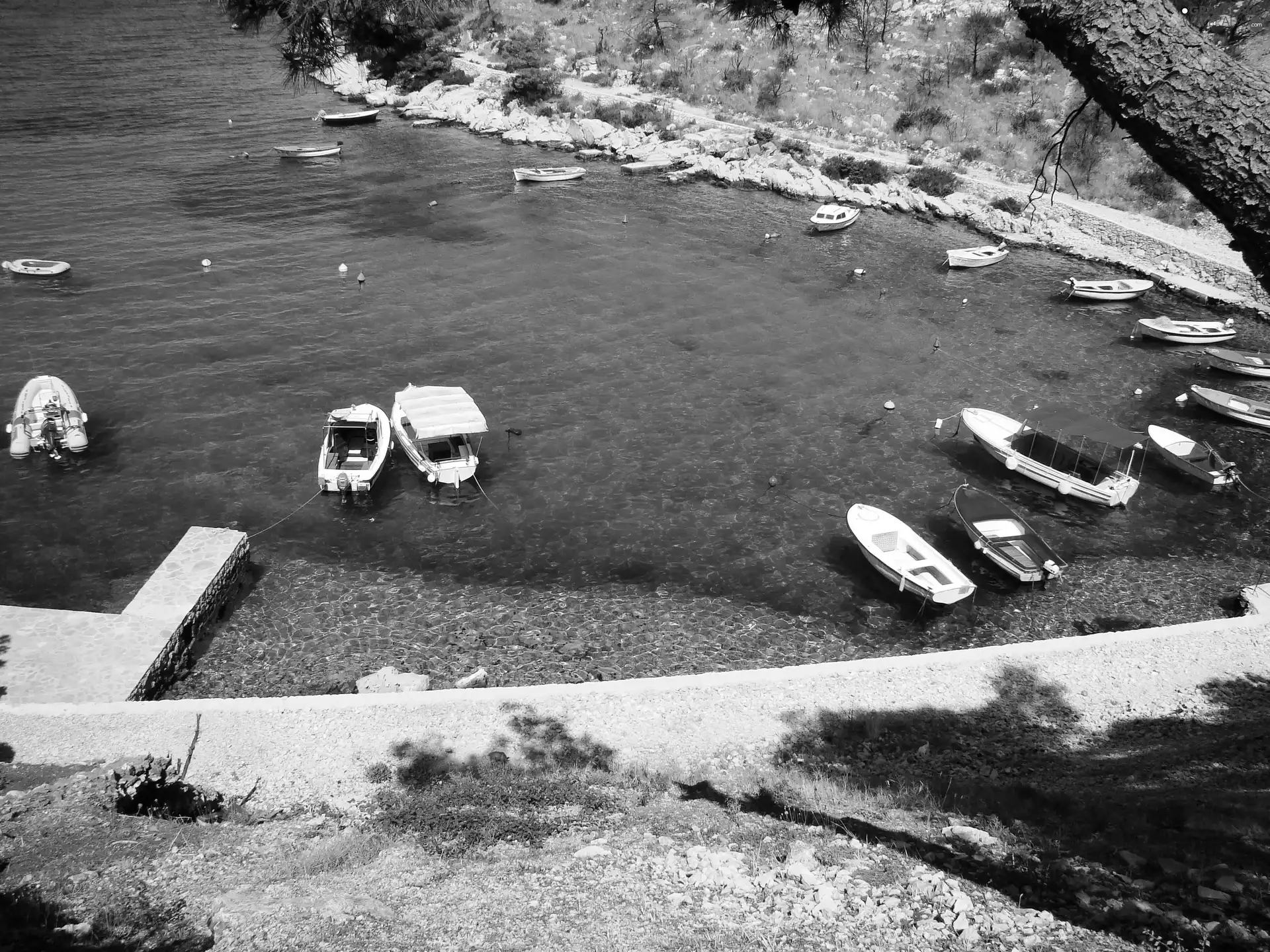 boats, Coartia, Harbour