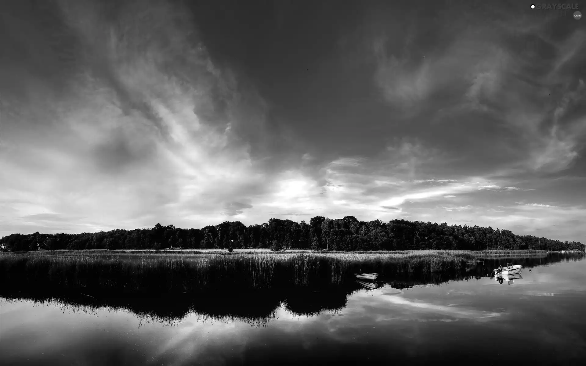 lake, viewes, boats, trees