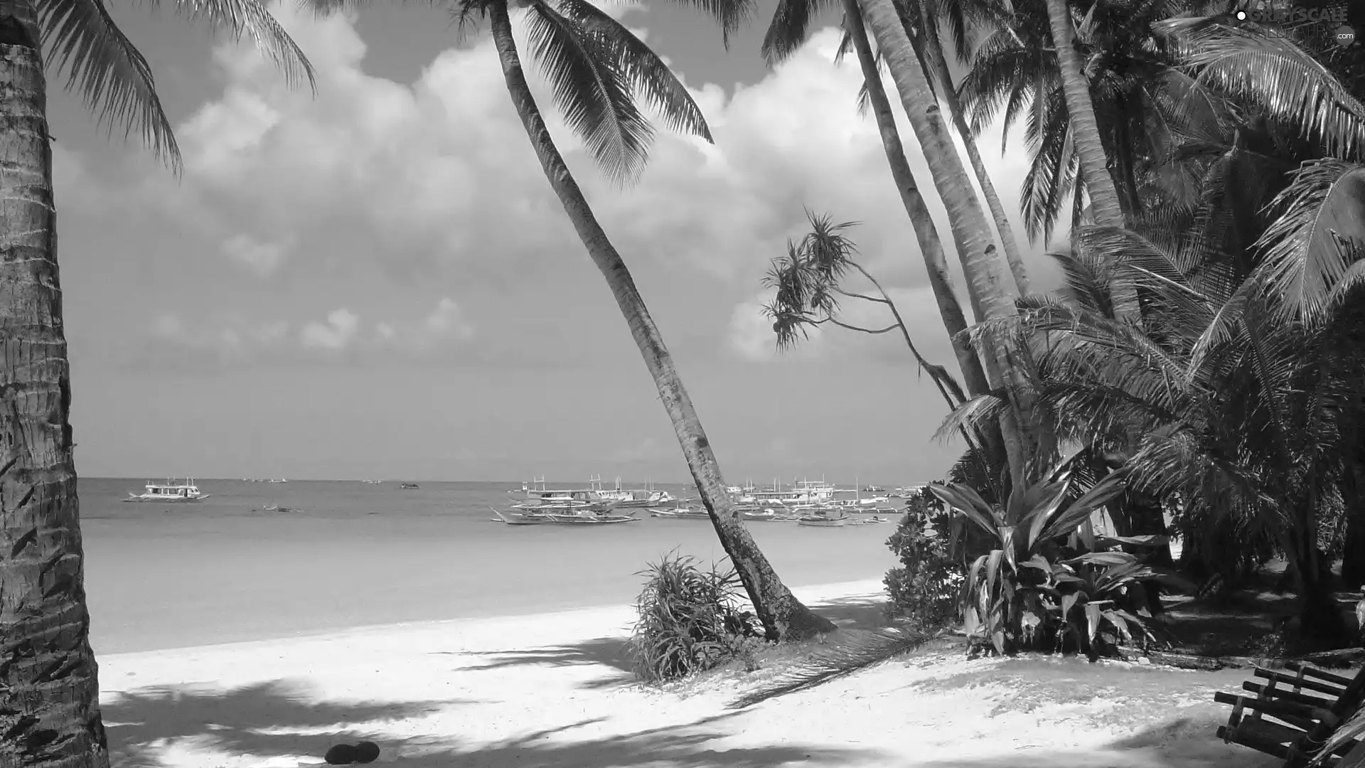 Boats, Sky, Palms, water, Sand