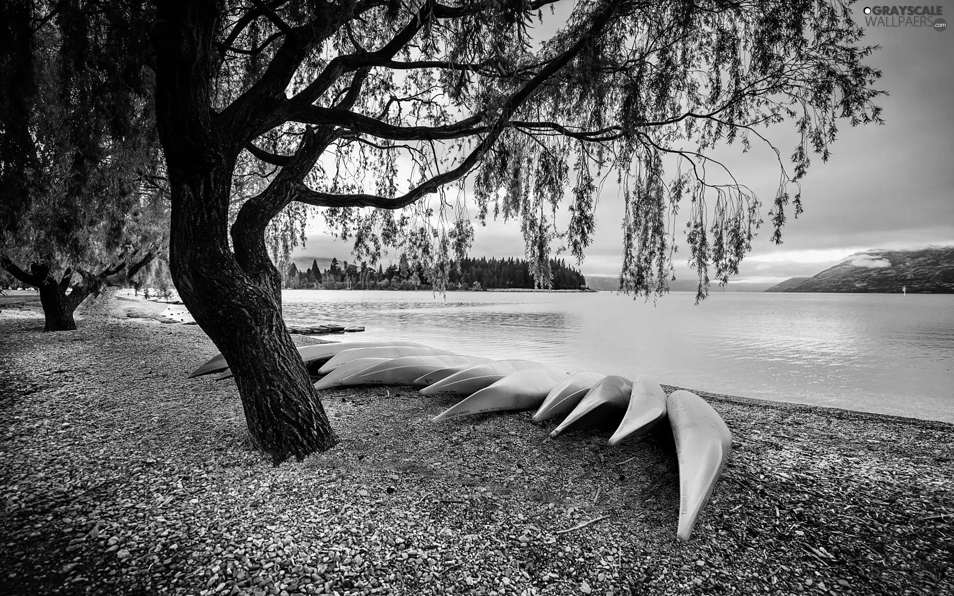 boats, lake, trees