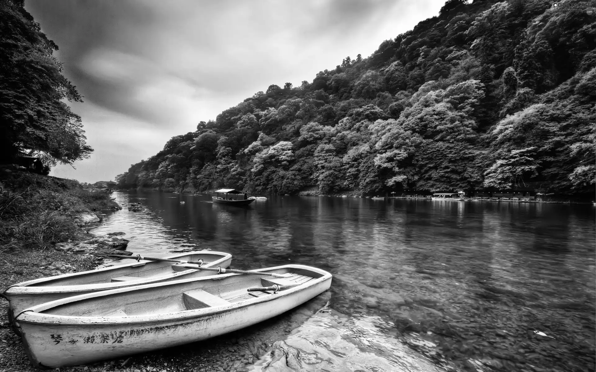 boats, River, woods