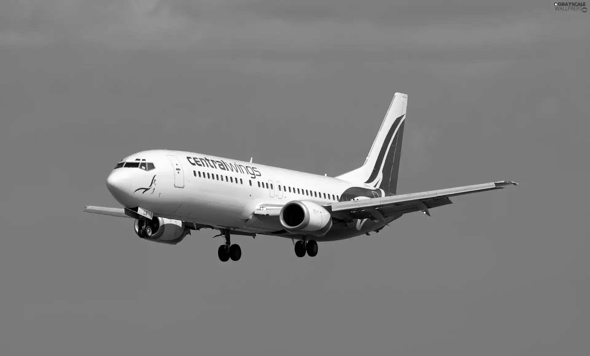 journey, plane, Boeing 737