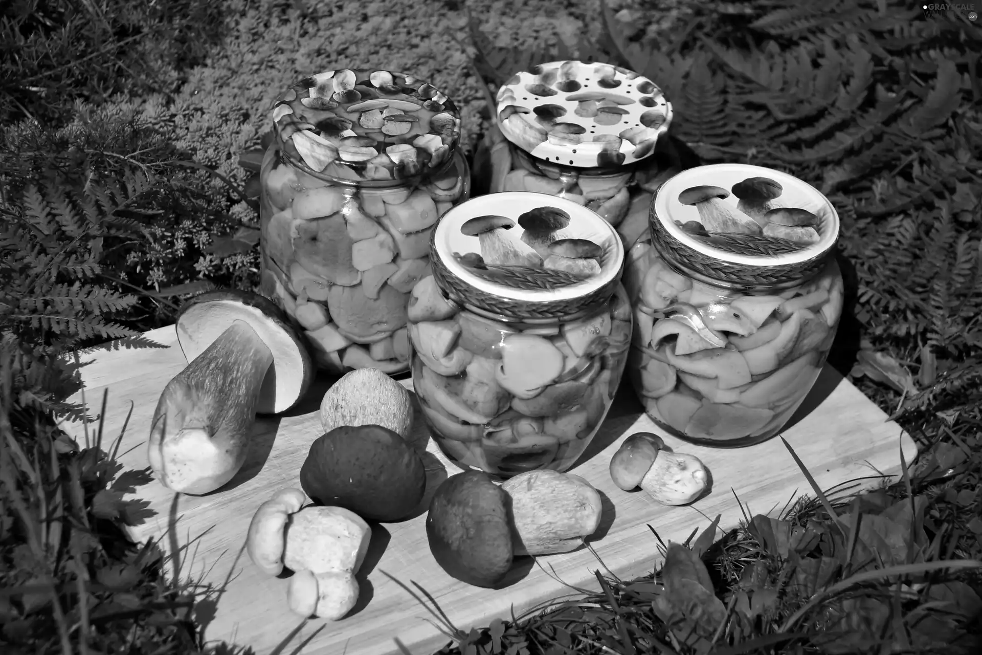 boletus, mushrooms, marinated