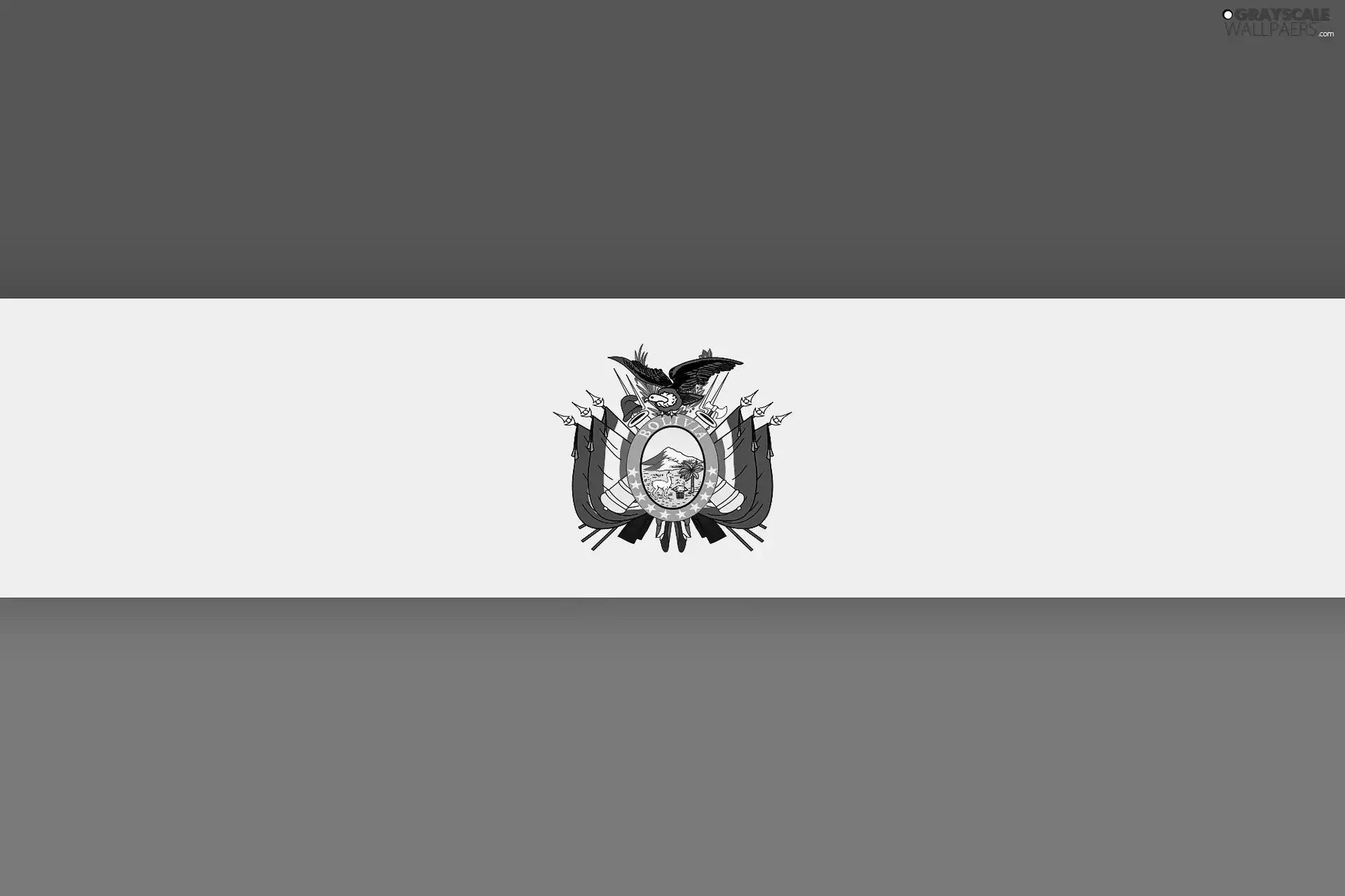 flag, Bolivia