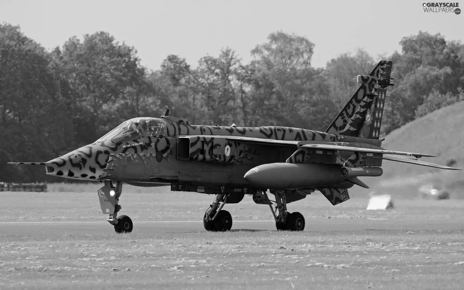 Yaguar, bomber