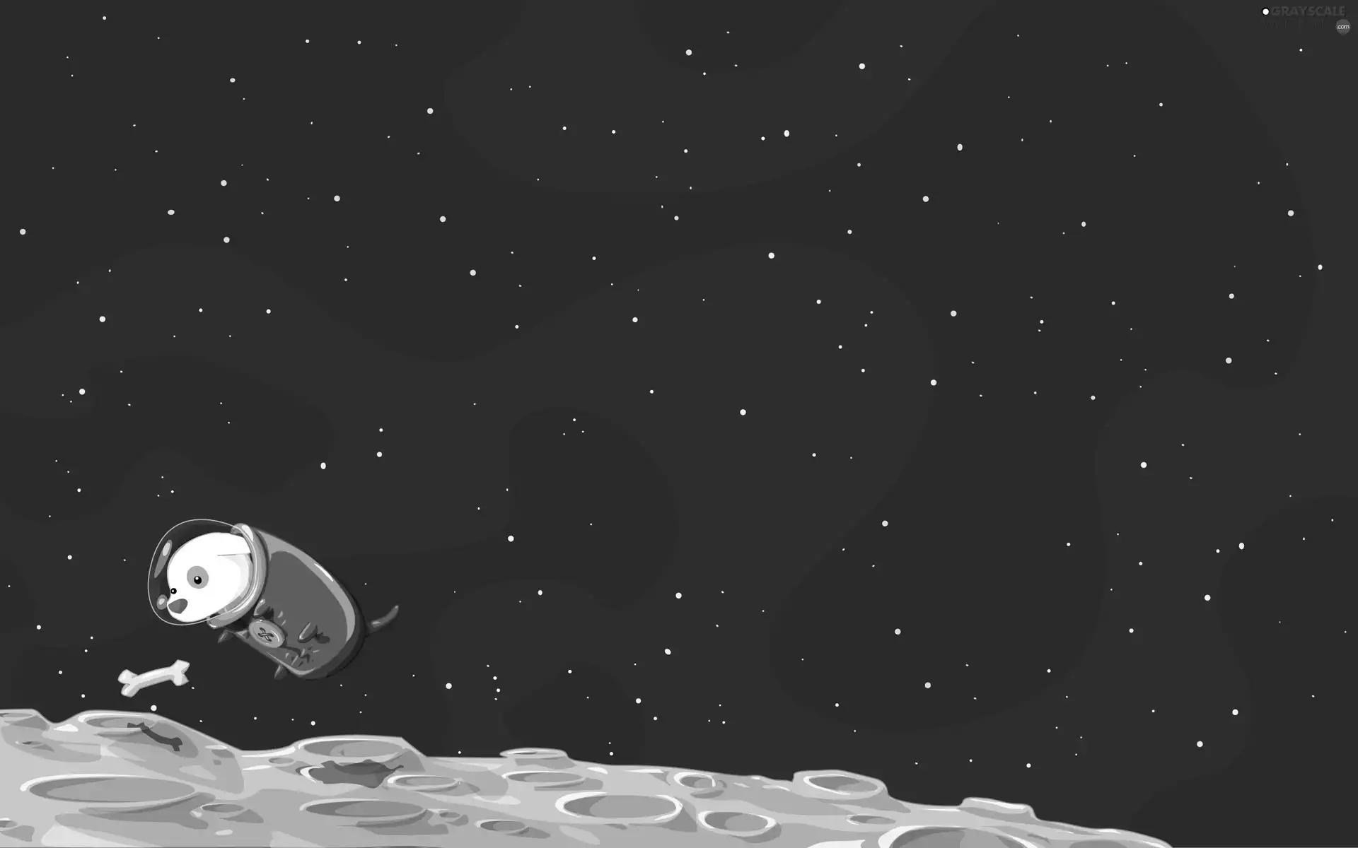 bone, dog, Universe
