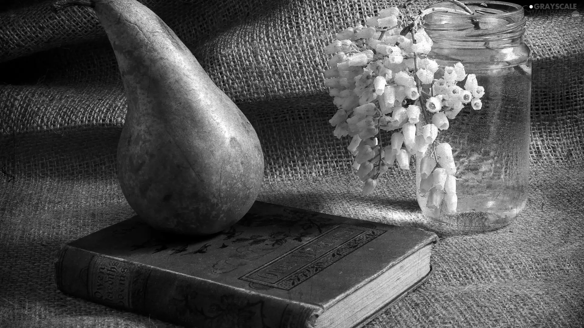 Flowers, Truck concrete mixer, Book