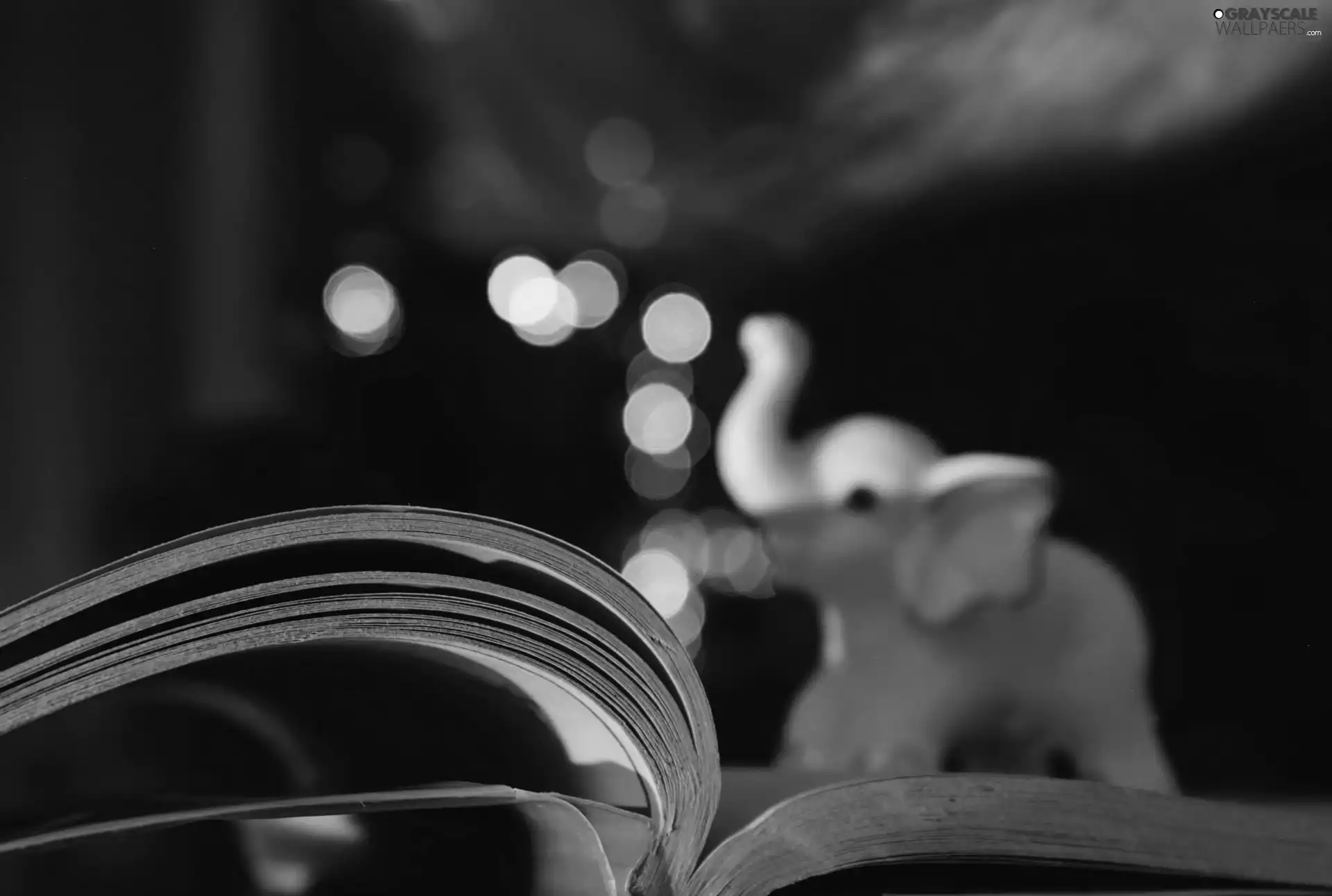 Book, porcelain, elephant