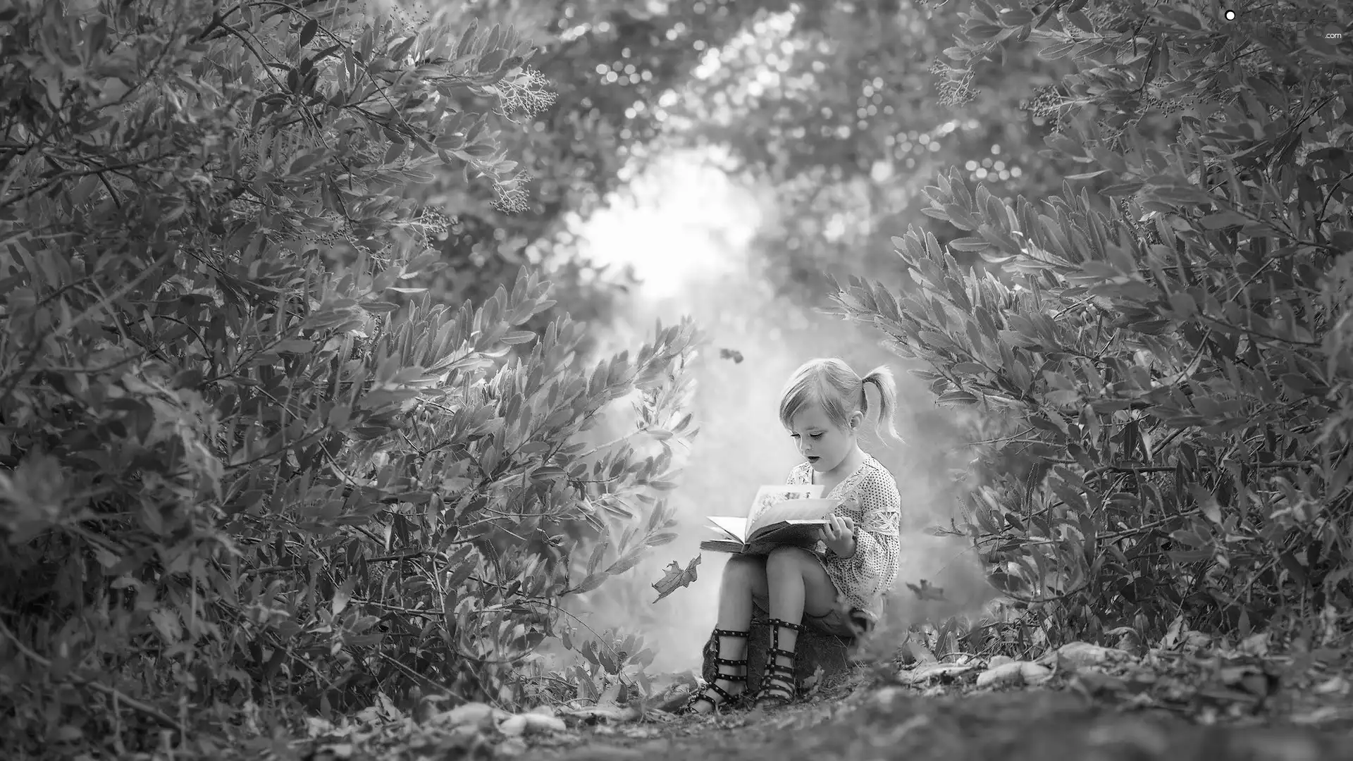 girl, Path, Bush, Book