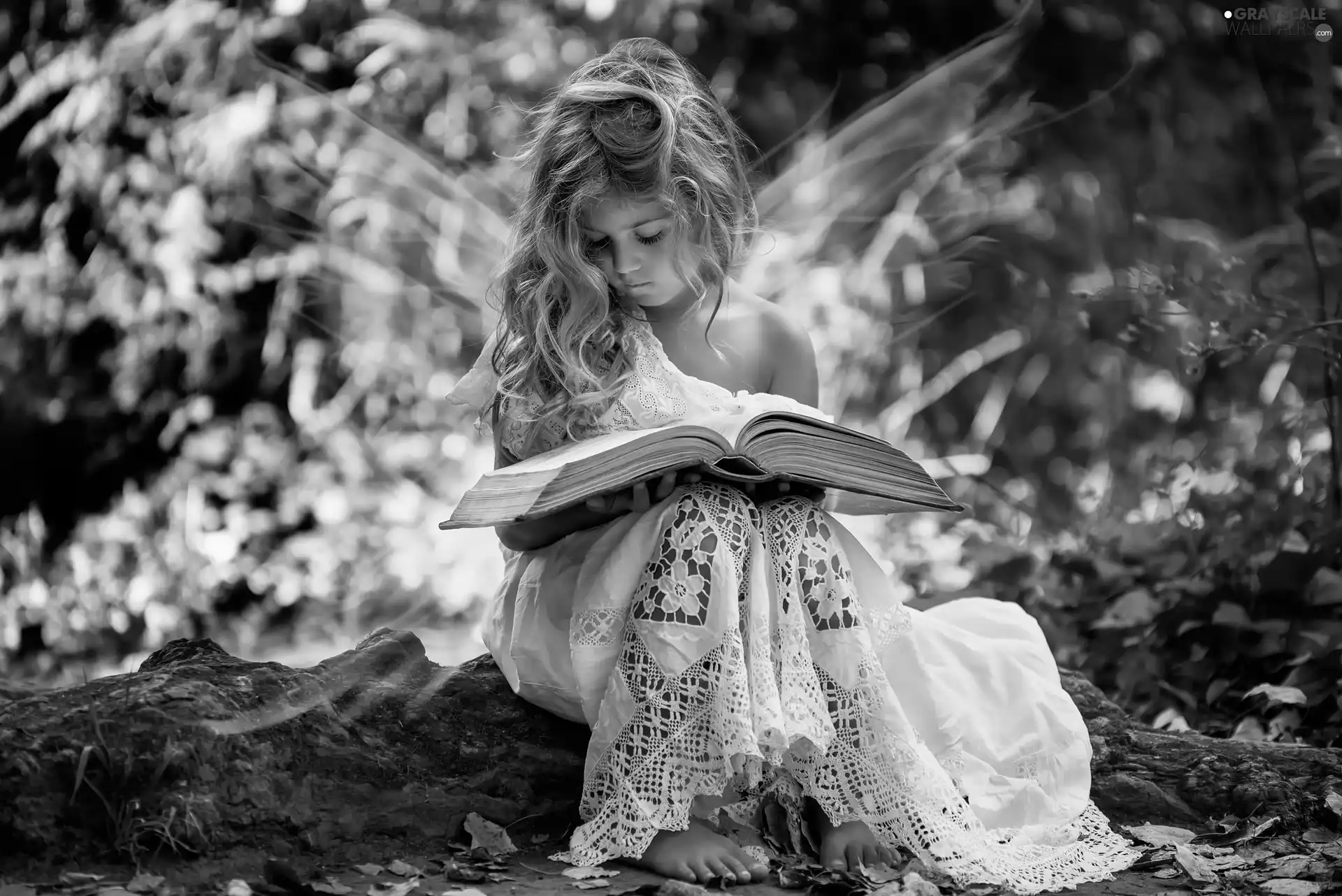 girl, Book