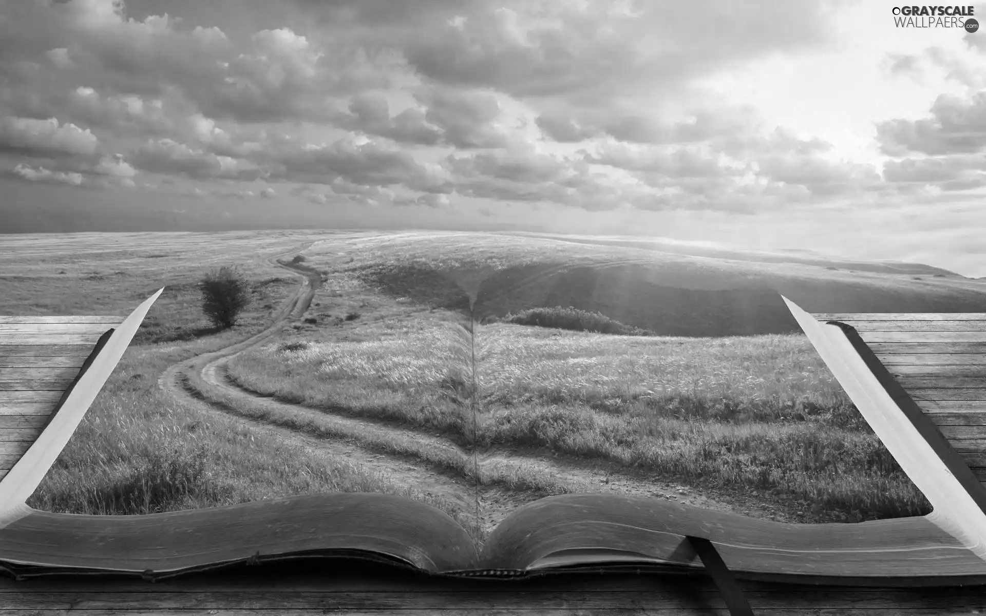 Book, graphics, Way, clouds, Meadow