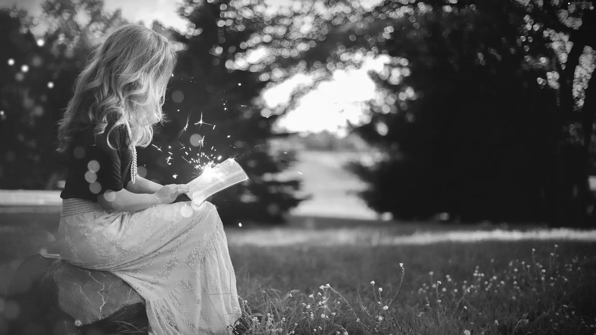 Book, Women, Meadow