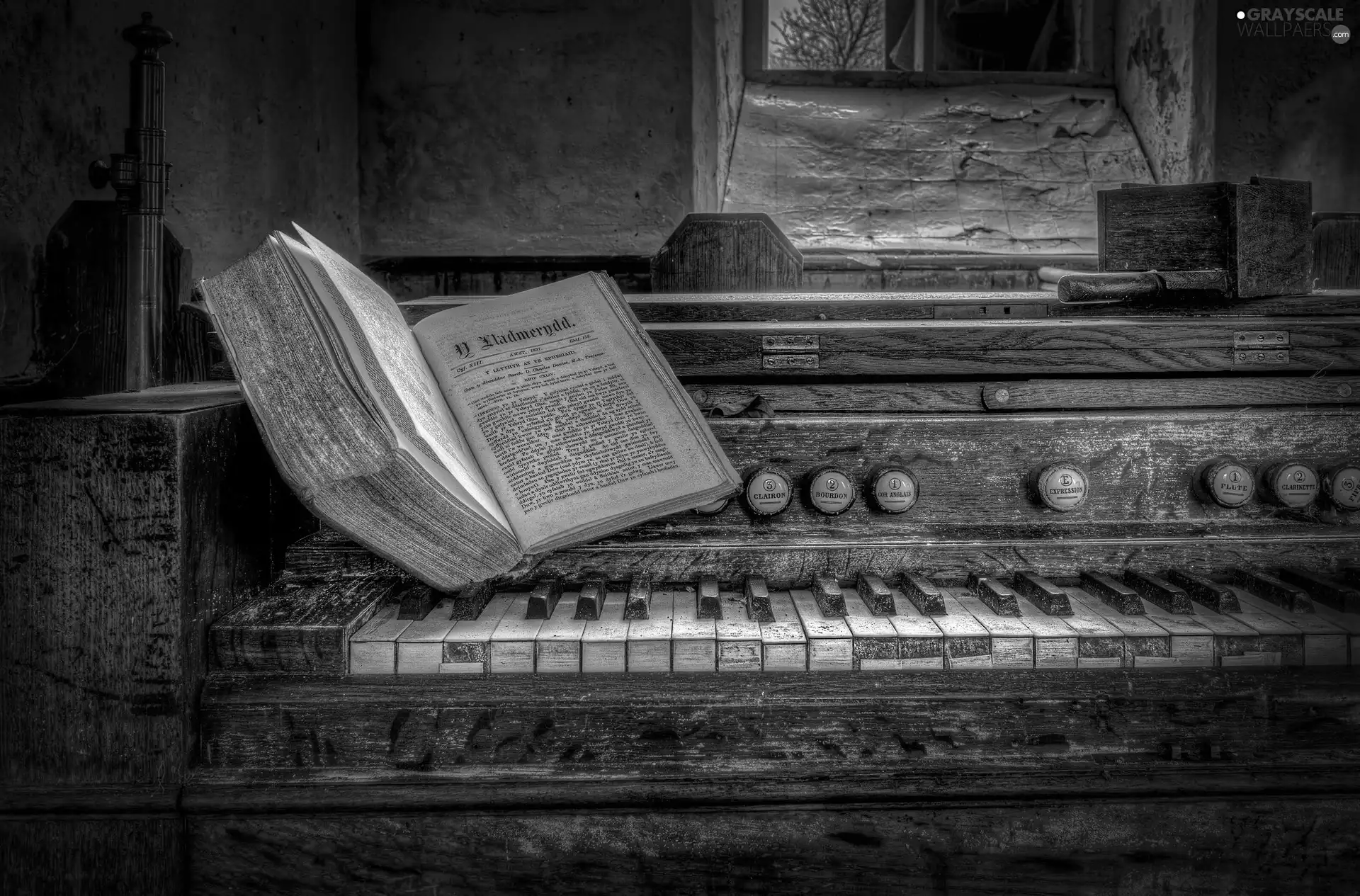 Book, old, organ
