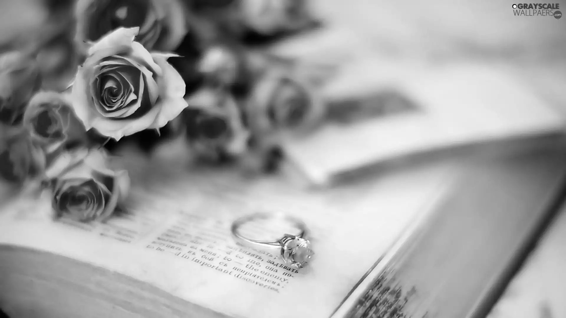 Book, roses, Ring