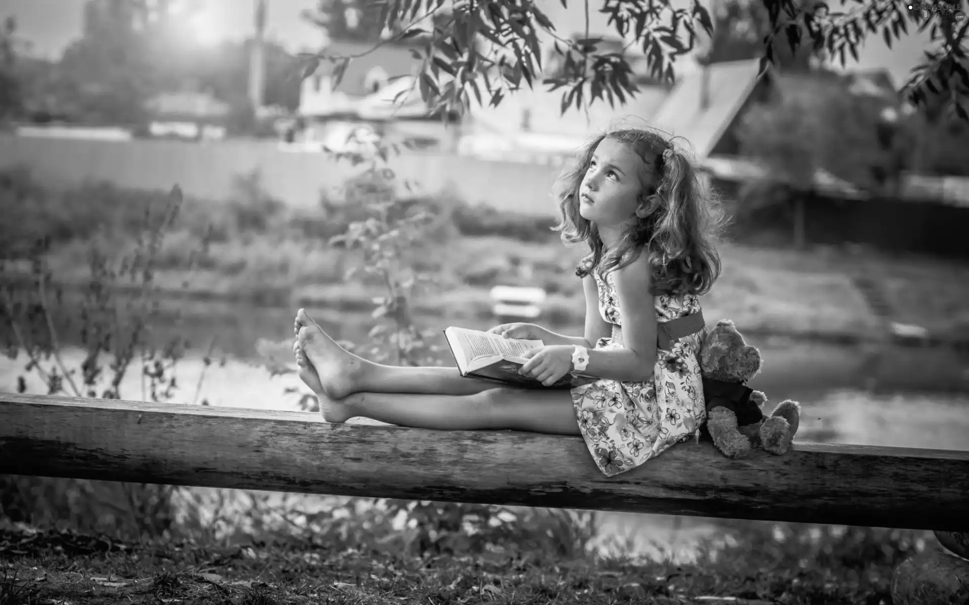 Book, girl, teddybear