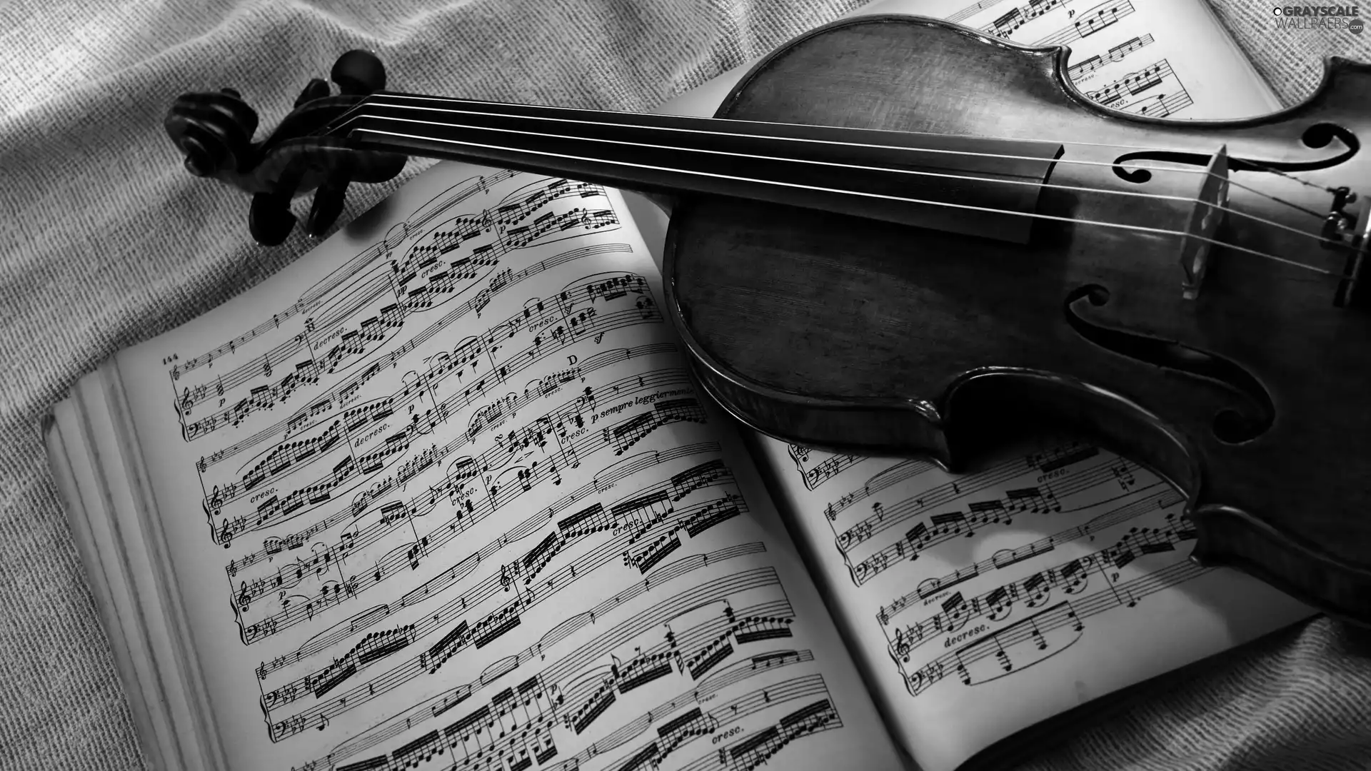 Book, violin, Tunes