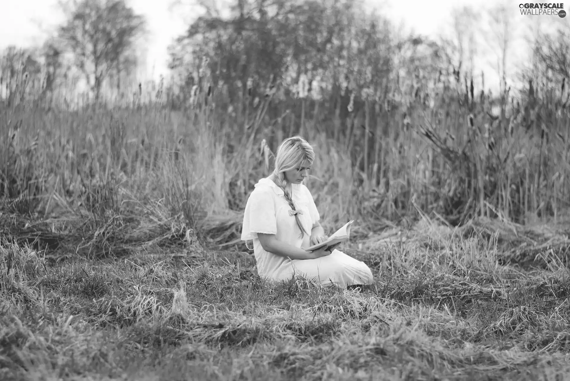 Women, Field, Book, Blonde