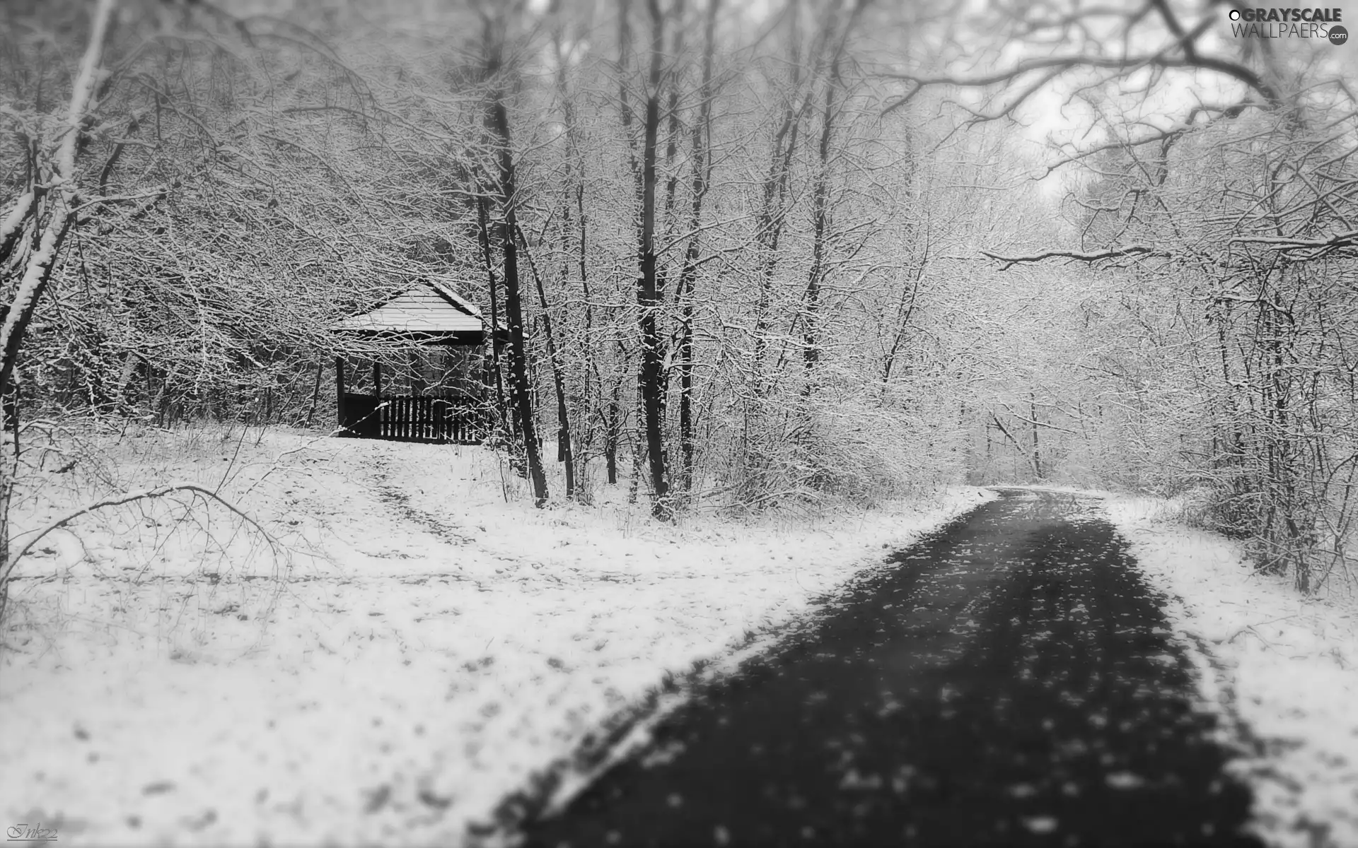 booth, snow, trees, viewes, Way