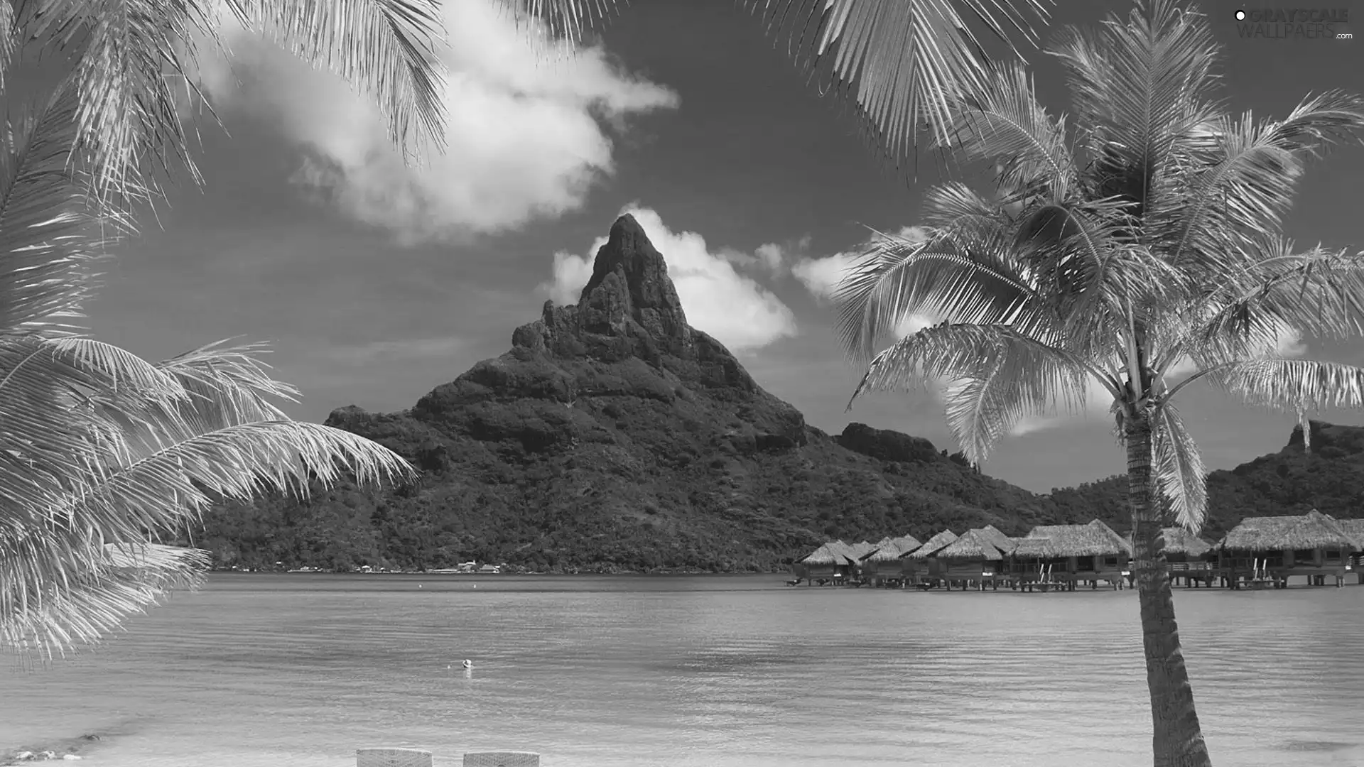 mountains, Palms, Bora Bora, sea