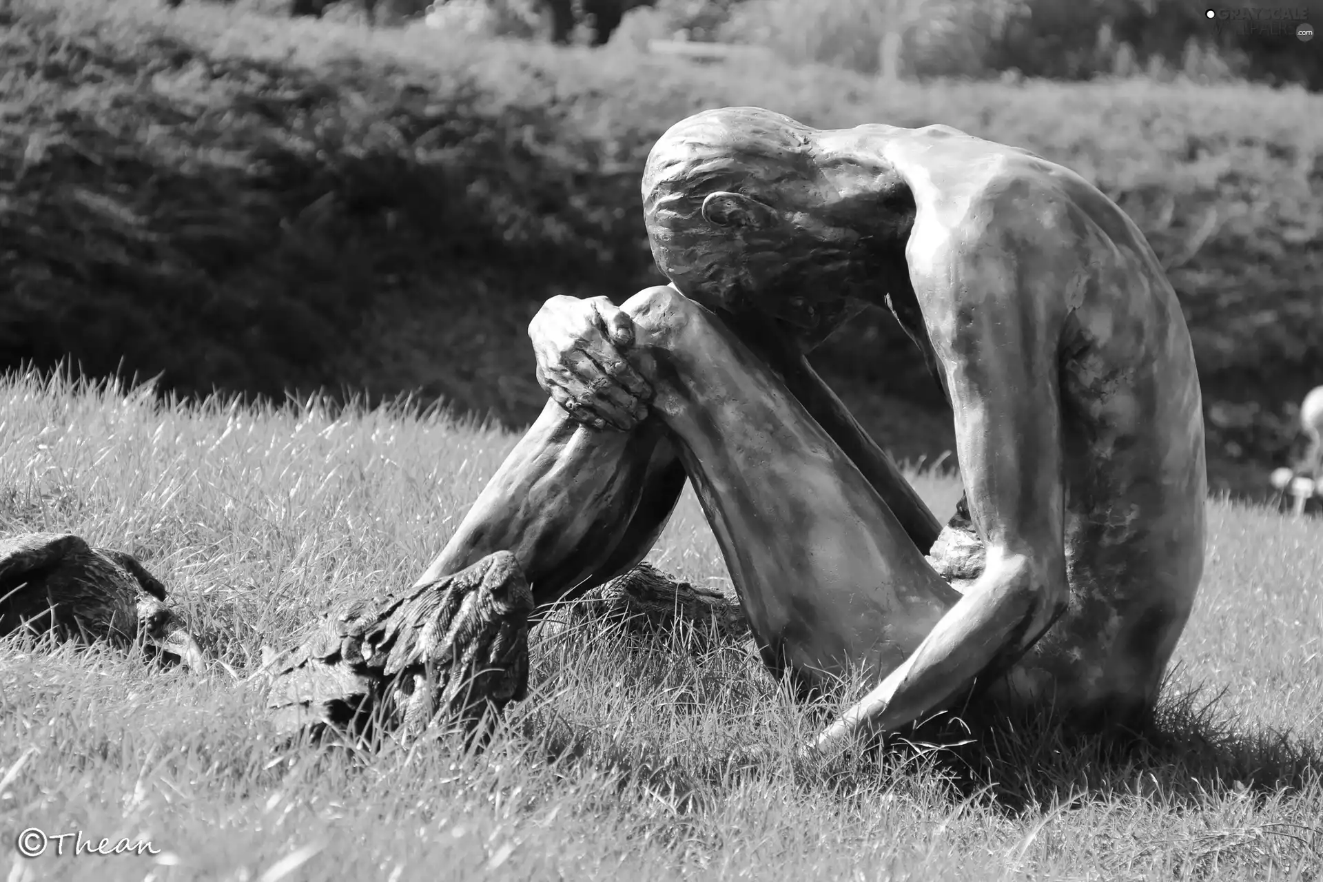 sculpture, Man and the Birds, Poznań, botanical garden, Poland