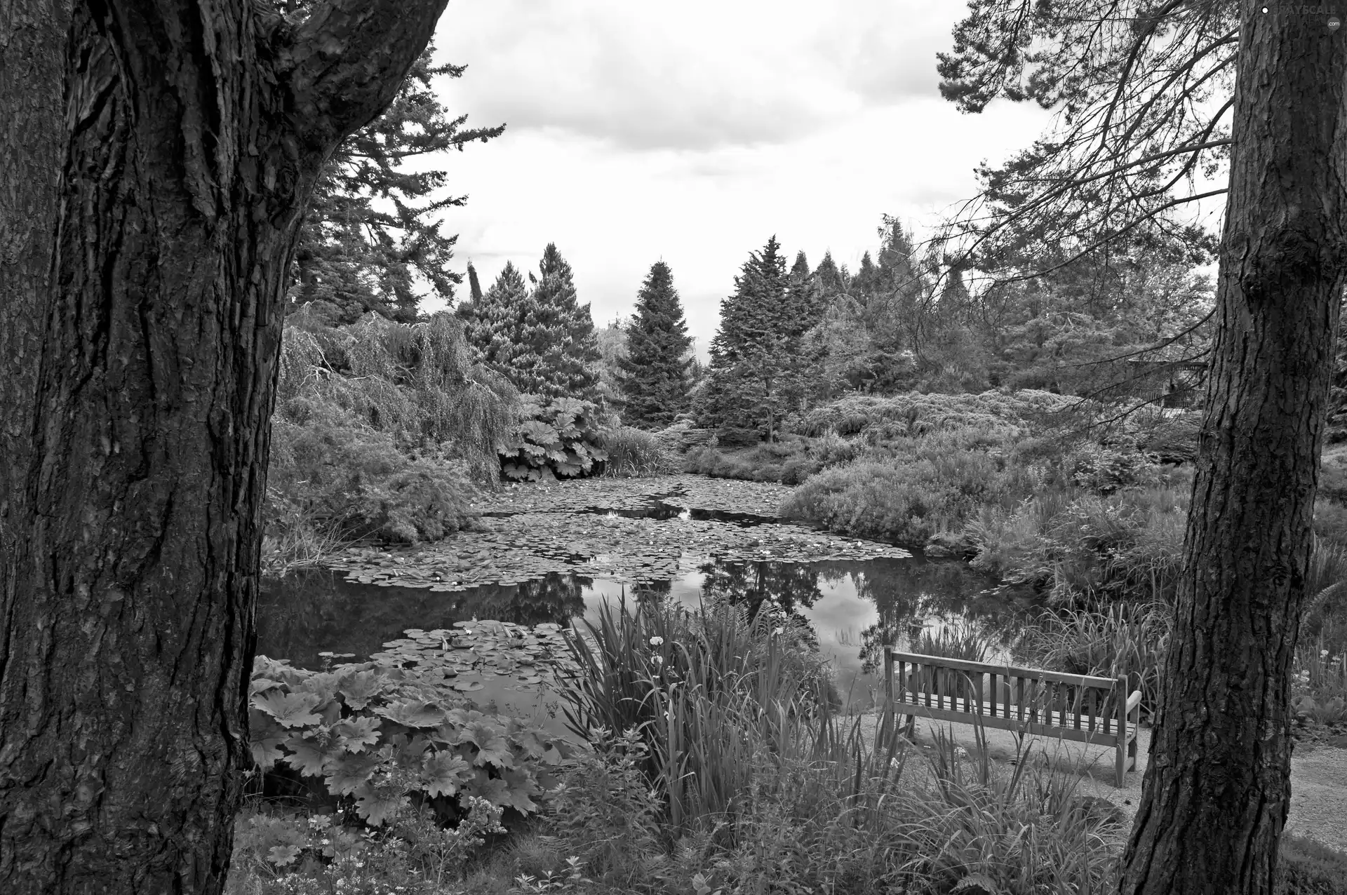 Garden, botanical