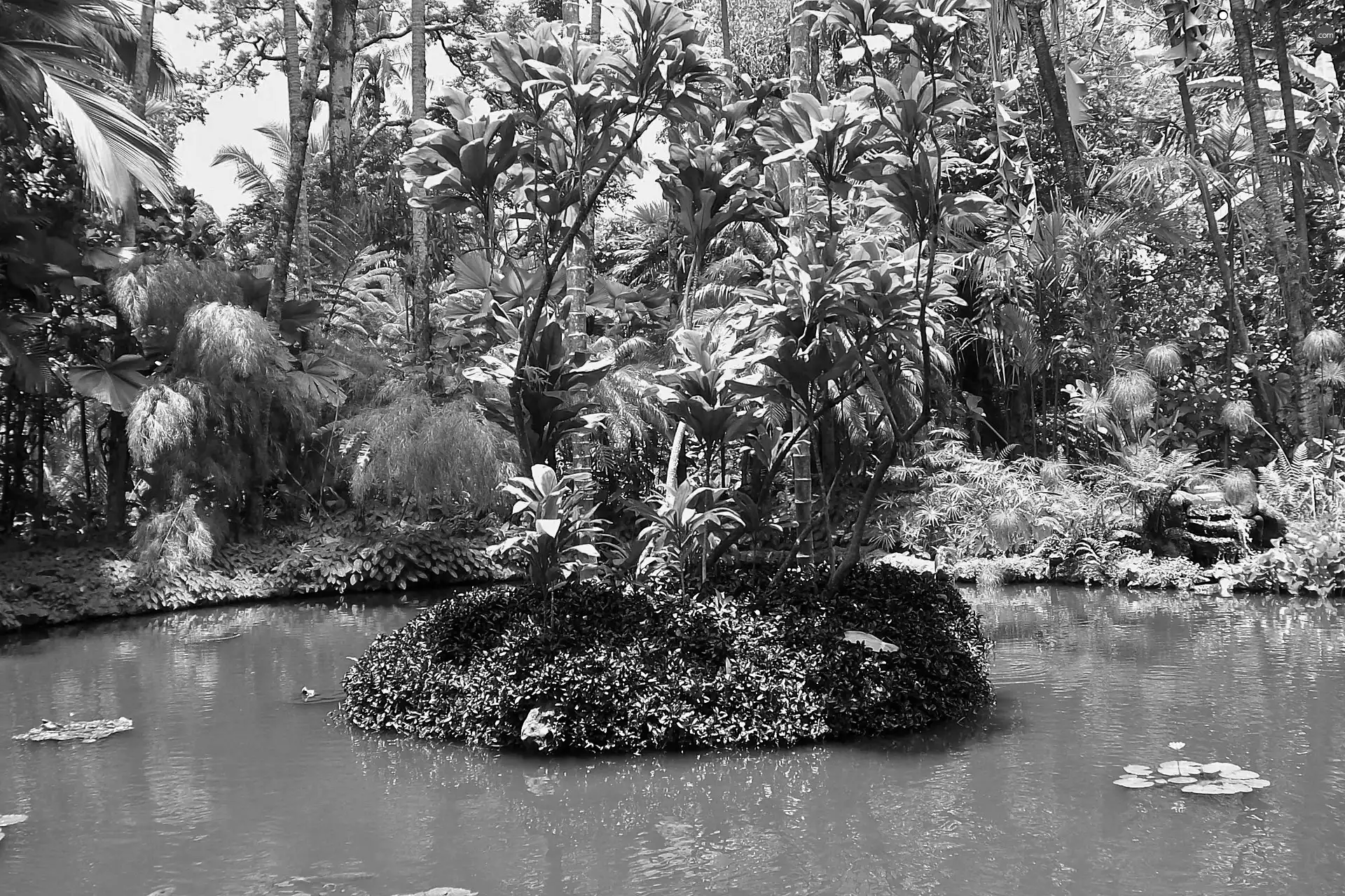 Aloha State Hawaje, Garden, botanical