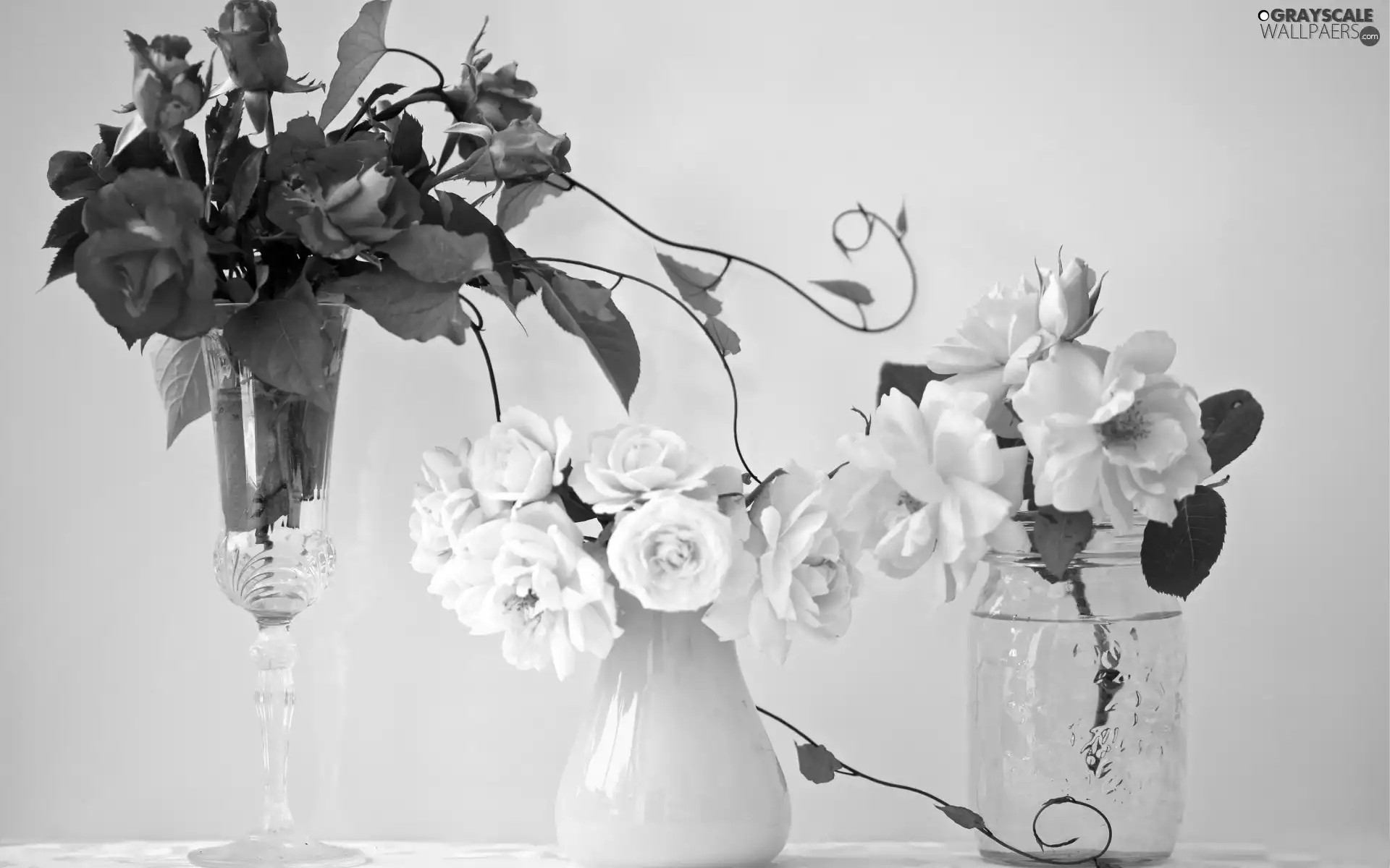 bottles, Bouquets, flowers