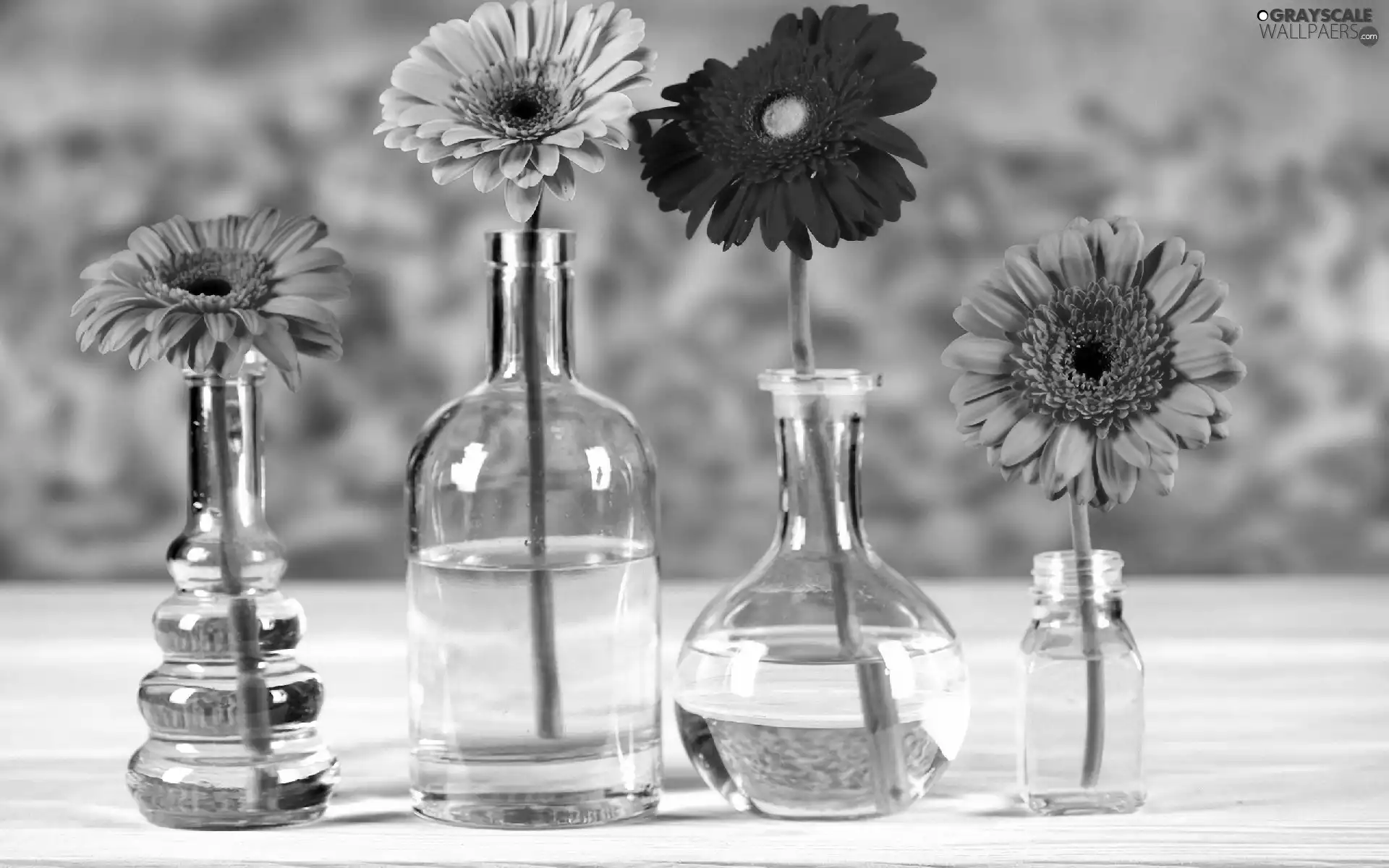 gerberas, bottles