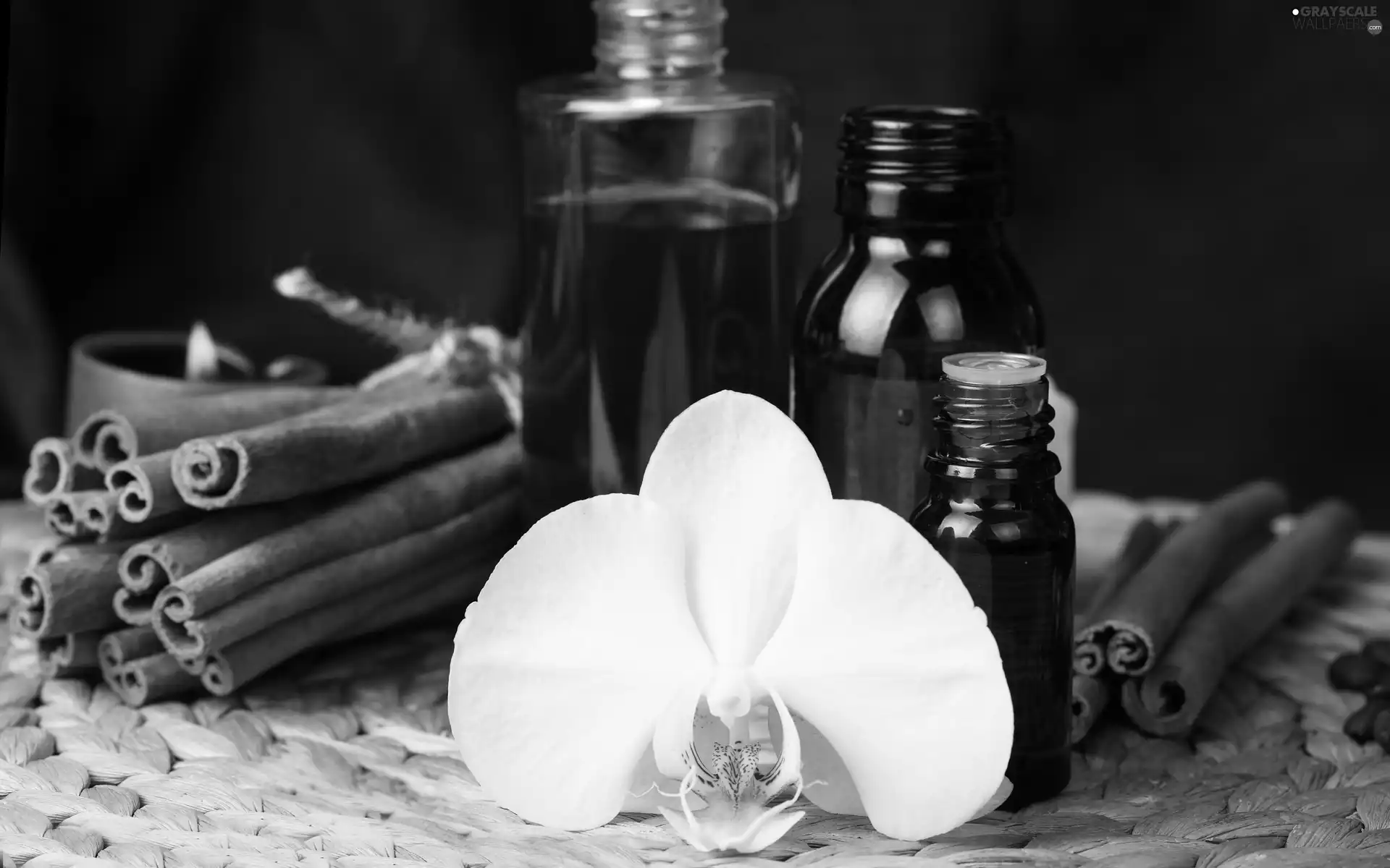 White, vanilla, Bottles, orchid