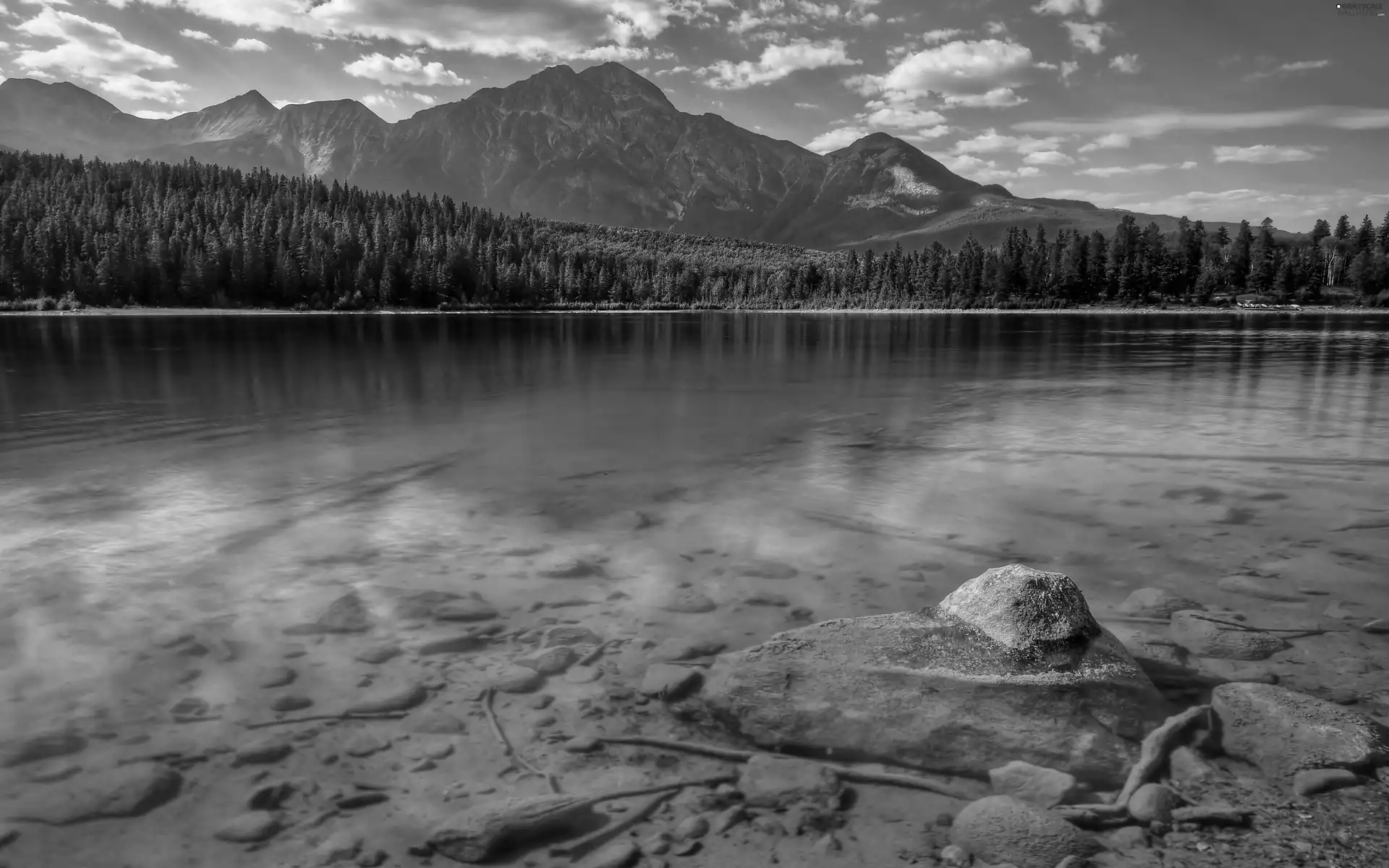 lake, water, bottom, Pure