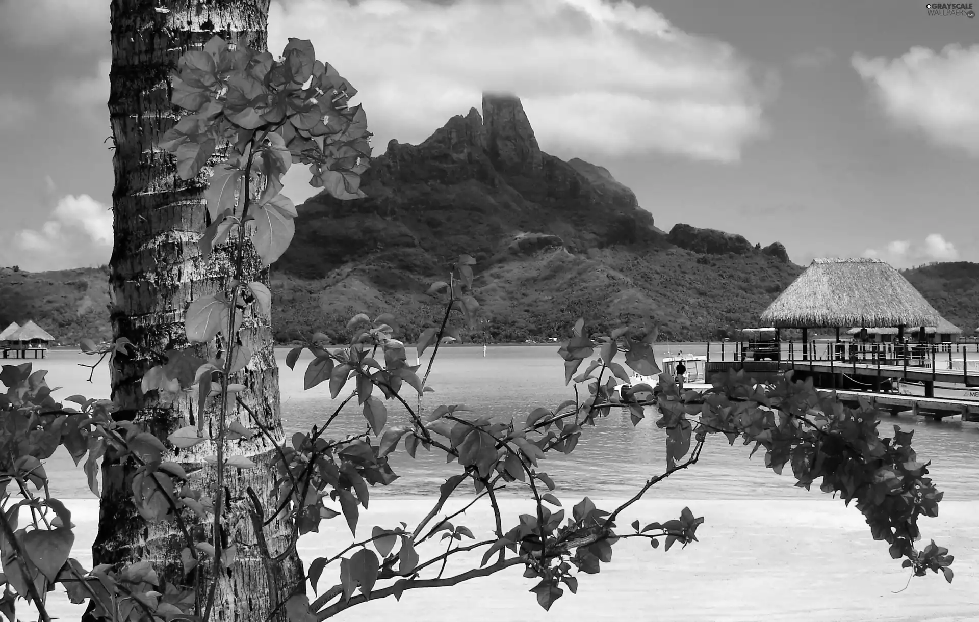 Bougainvillea, Bora Bor, Beaches, Mountains, Ocean