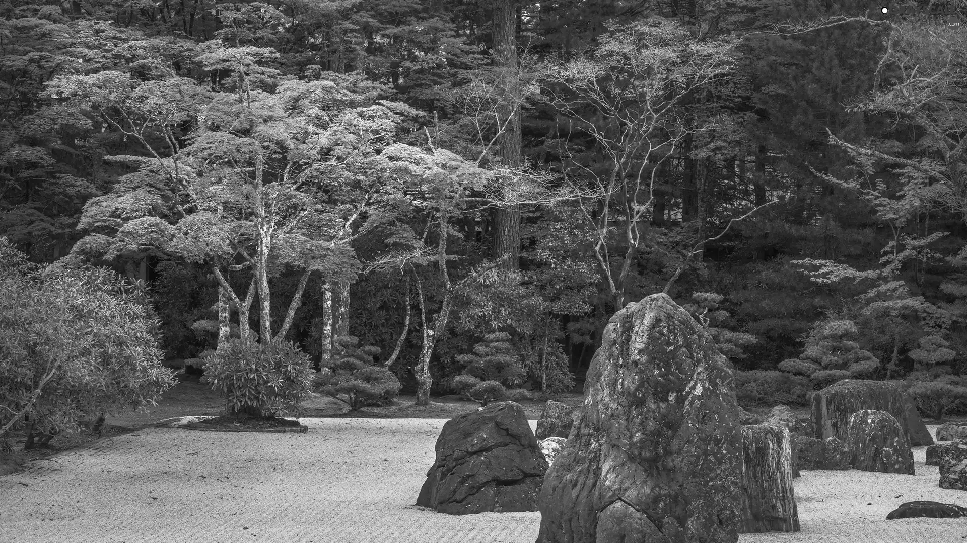Stones, boulders, trees, viewes, forest