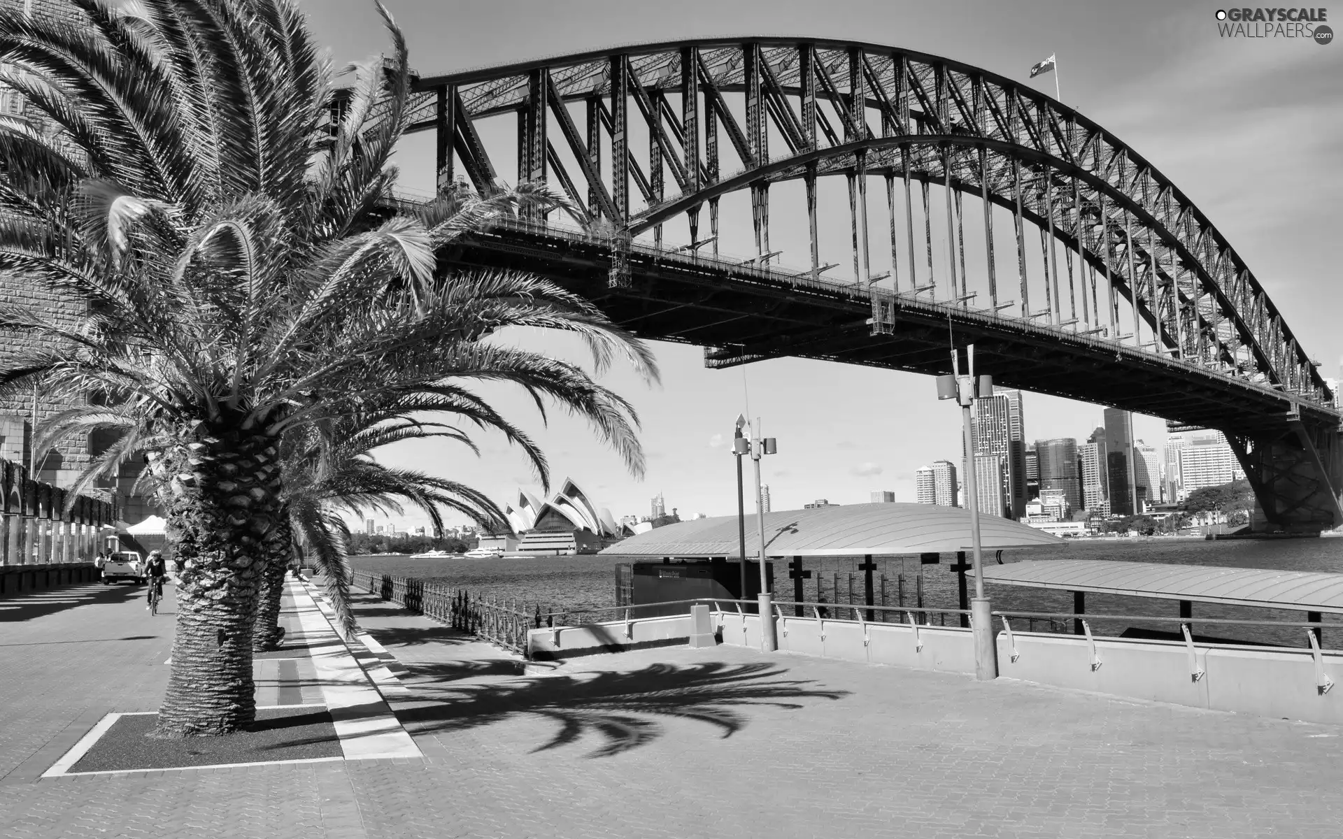 boulevard, Palm, Australia, bridge, Sydney