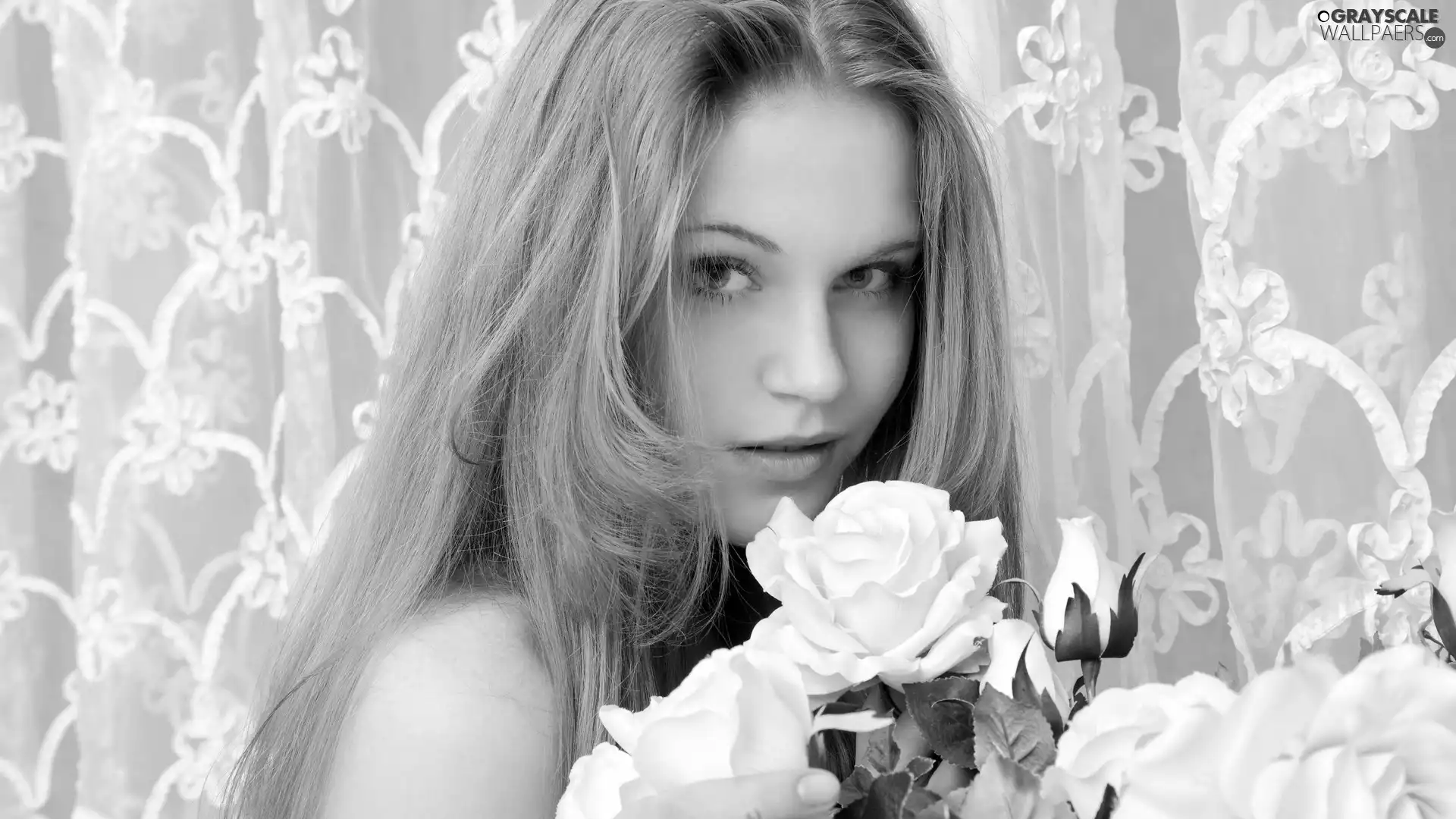 girl, White, roses, bouquet