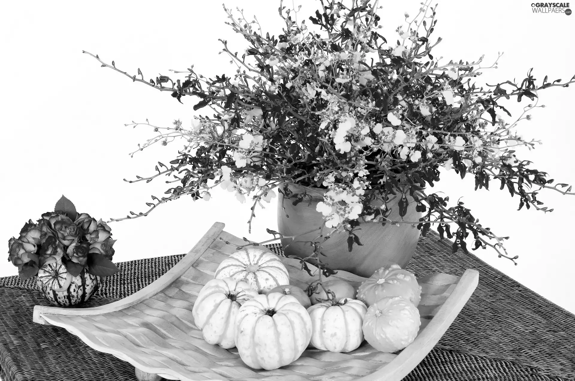 bouquet, flowers, little doggies, pumpkin, table