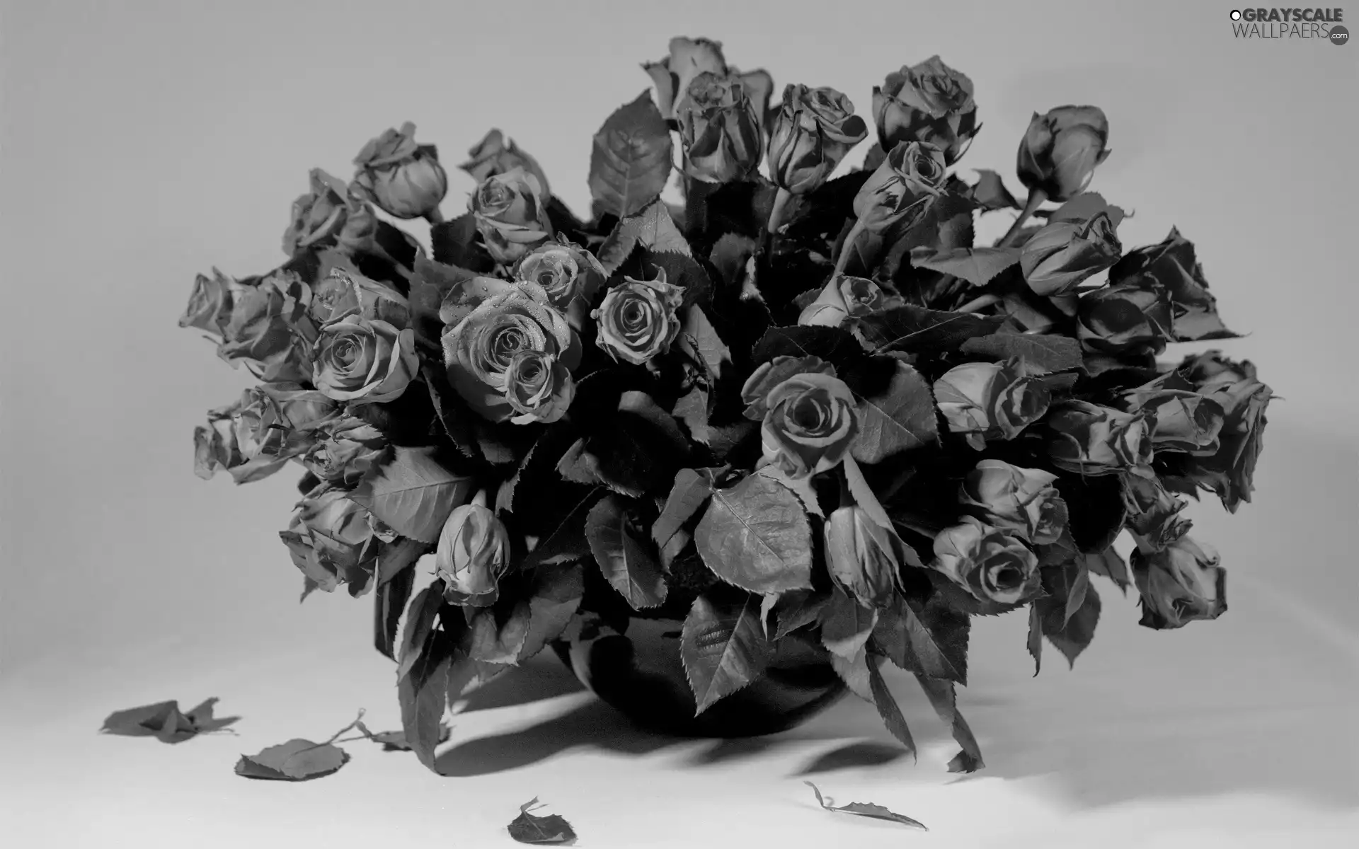 roses, bouquet
