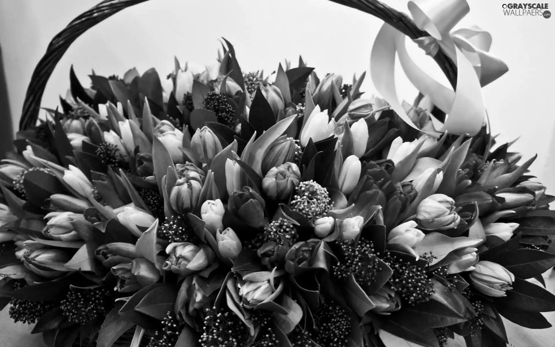 bouquet, basket, bow, Tulips