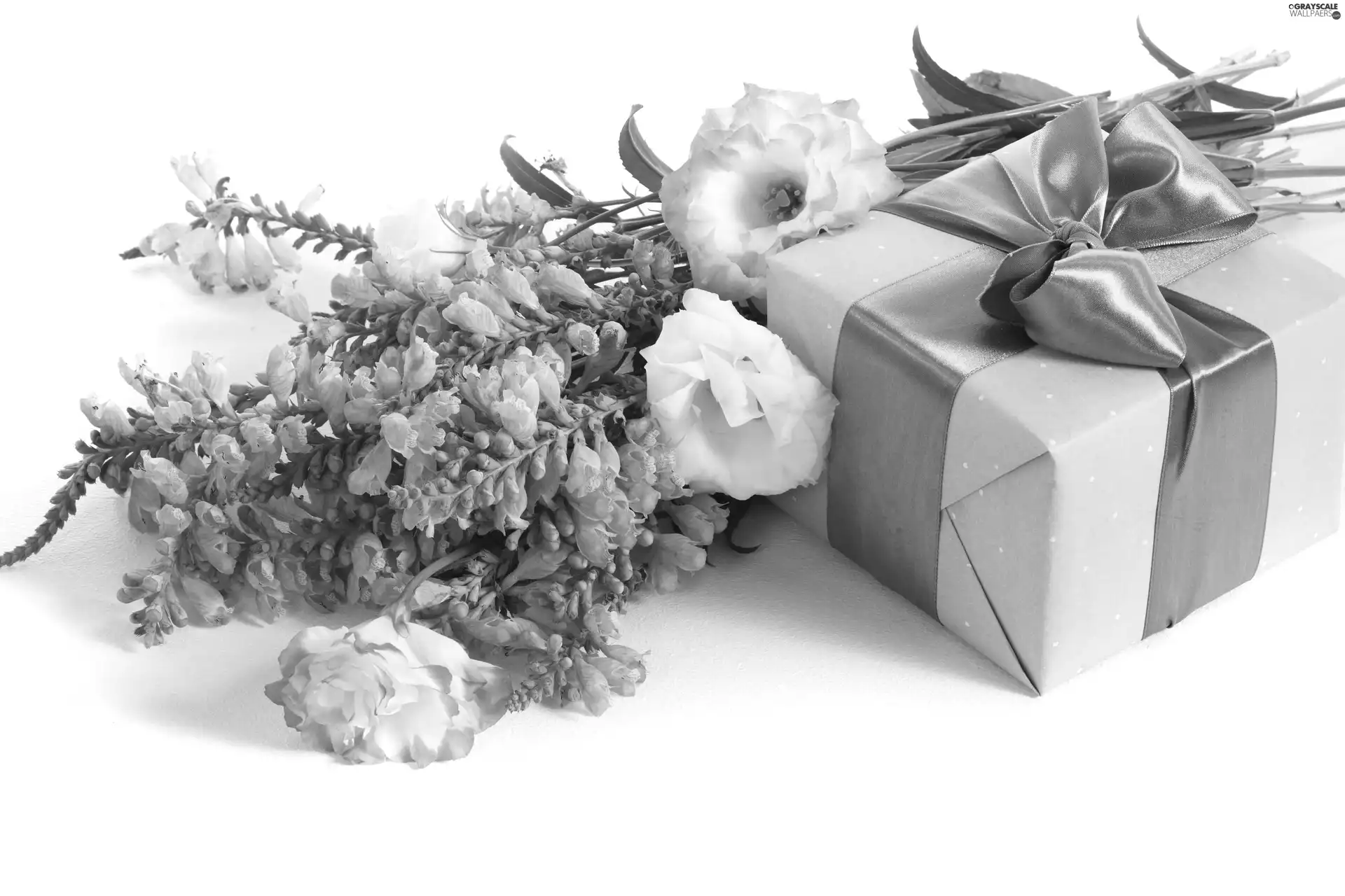 bow, Flowers, Present
