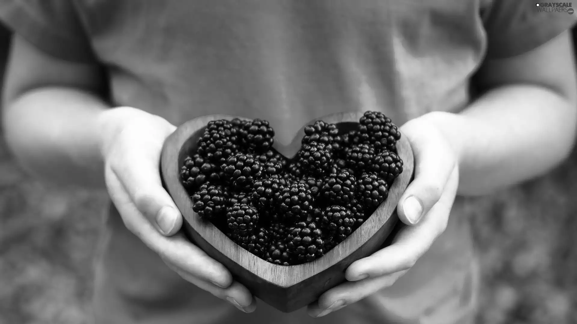 bowl, Women, blackberries