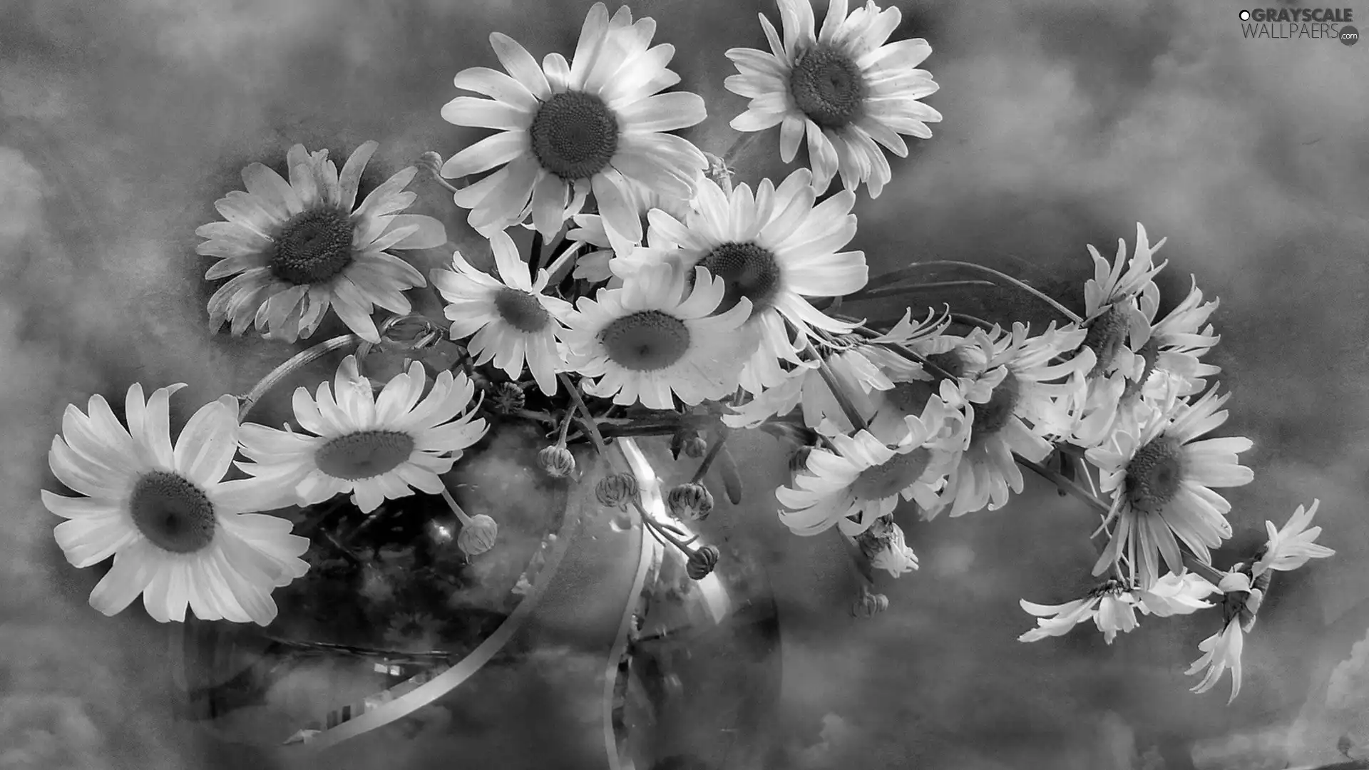 bowl, chamomile, bouquet